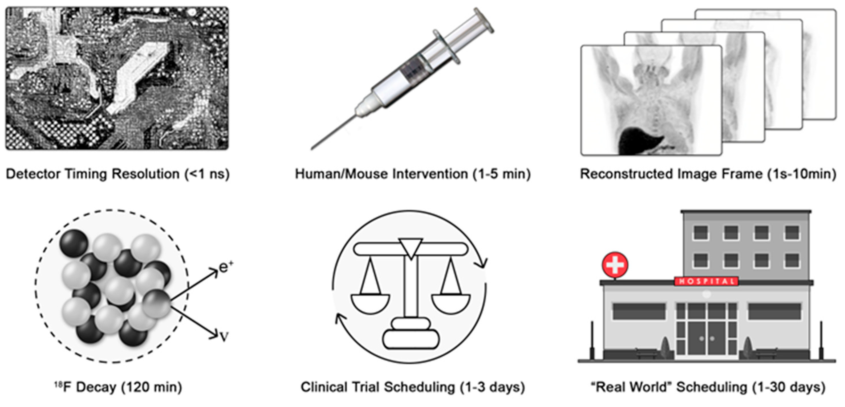 Cancers 17 01387 g001