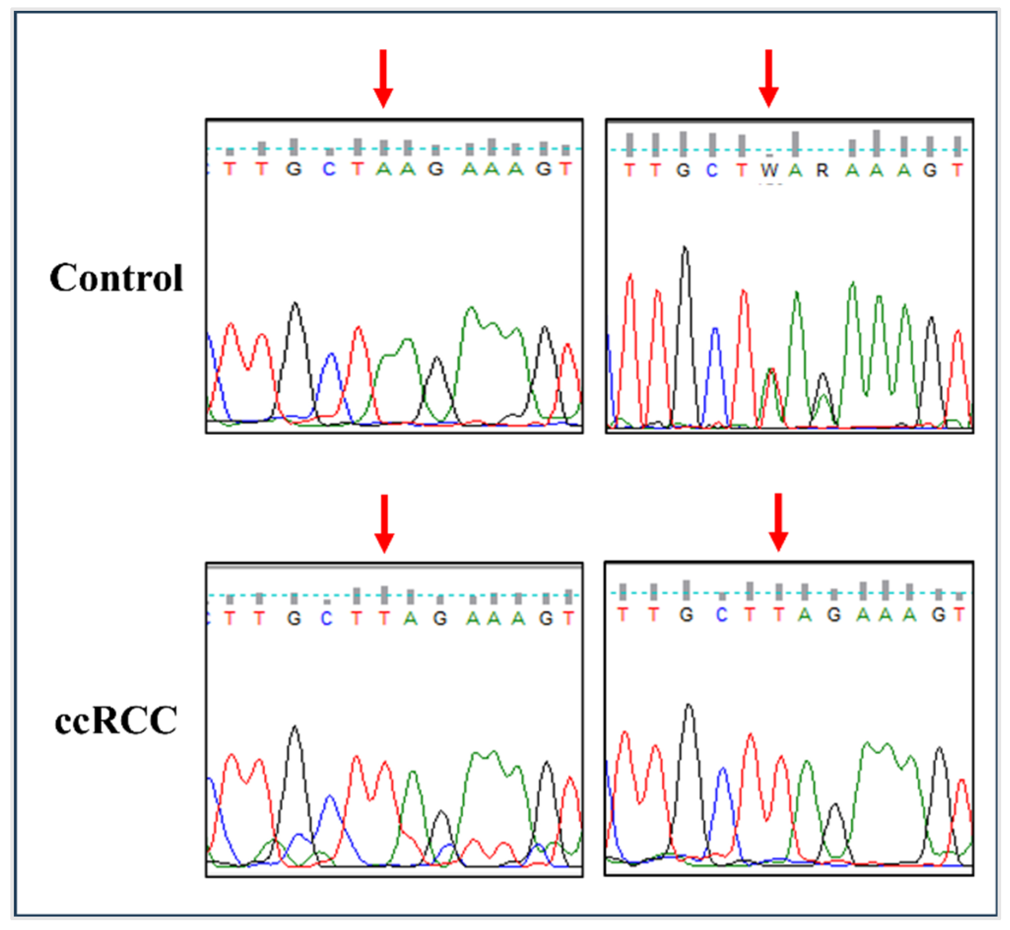 Cancers 17 01395 g001 Cancers 17 01395 g001