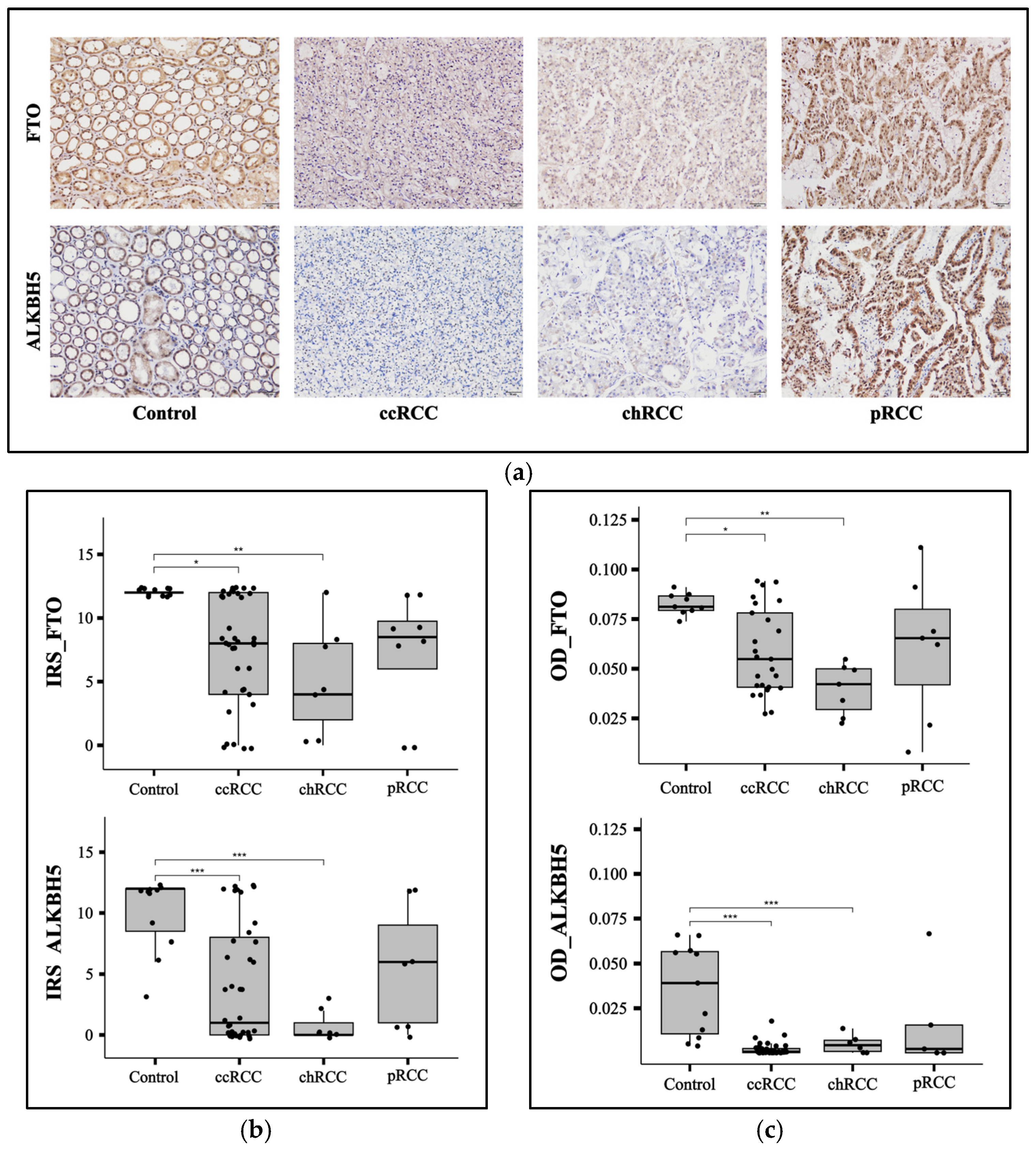 Cancers 17 01395 g002 Cancers 17 01395 g002