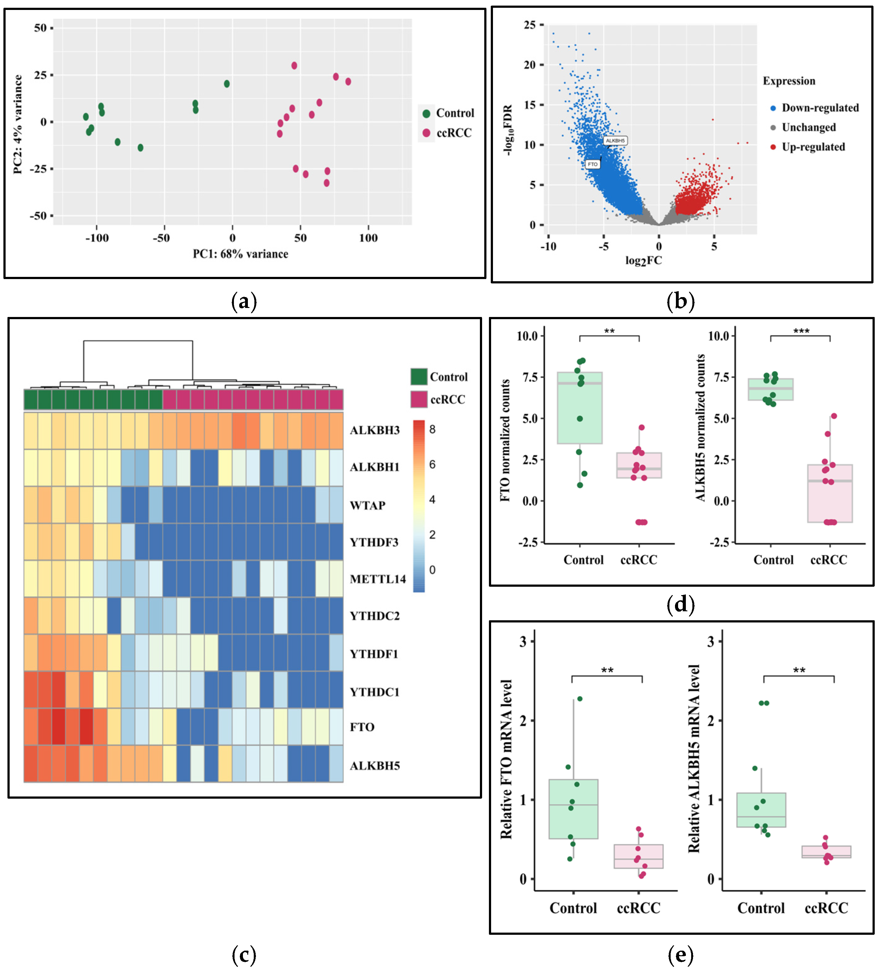 Cancers 17 01395 g004 Cancers 17 01395 g004