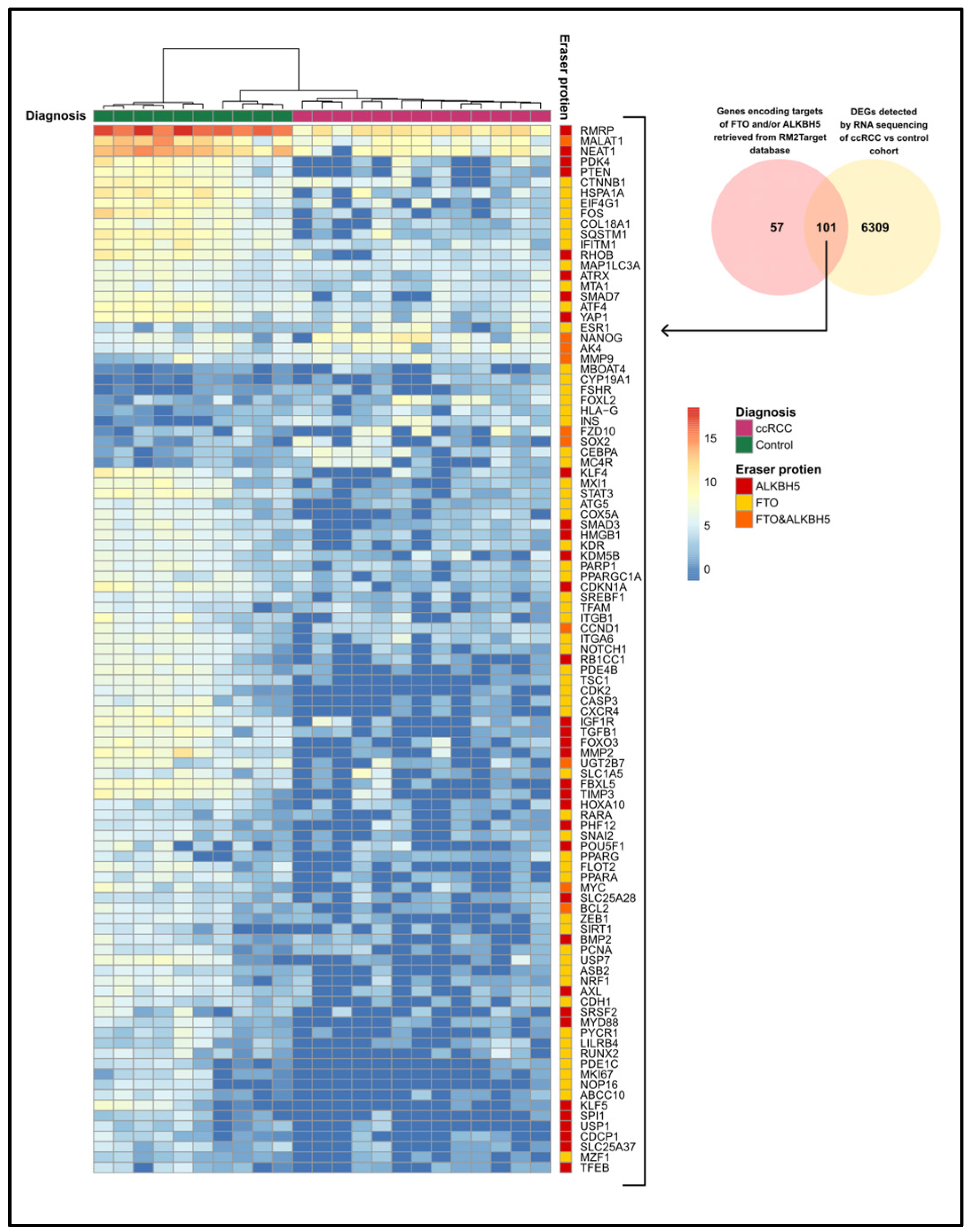 Cancers 17 01395 g005 Cancers 17 01395 g005