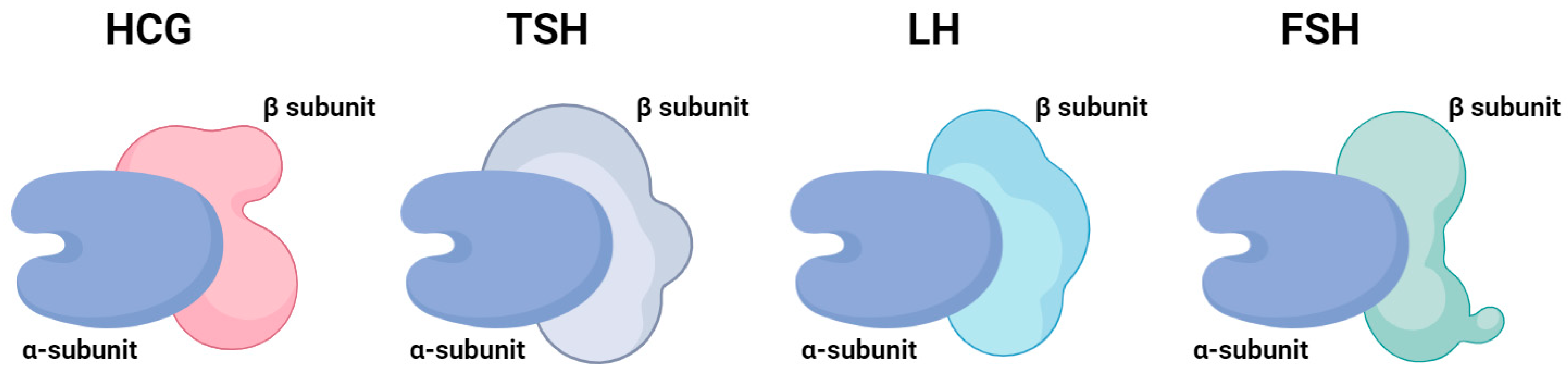 Cancers 17 01398 g002