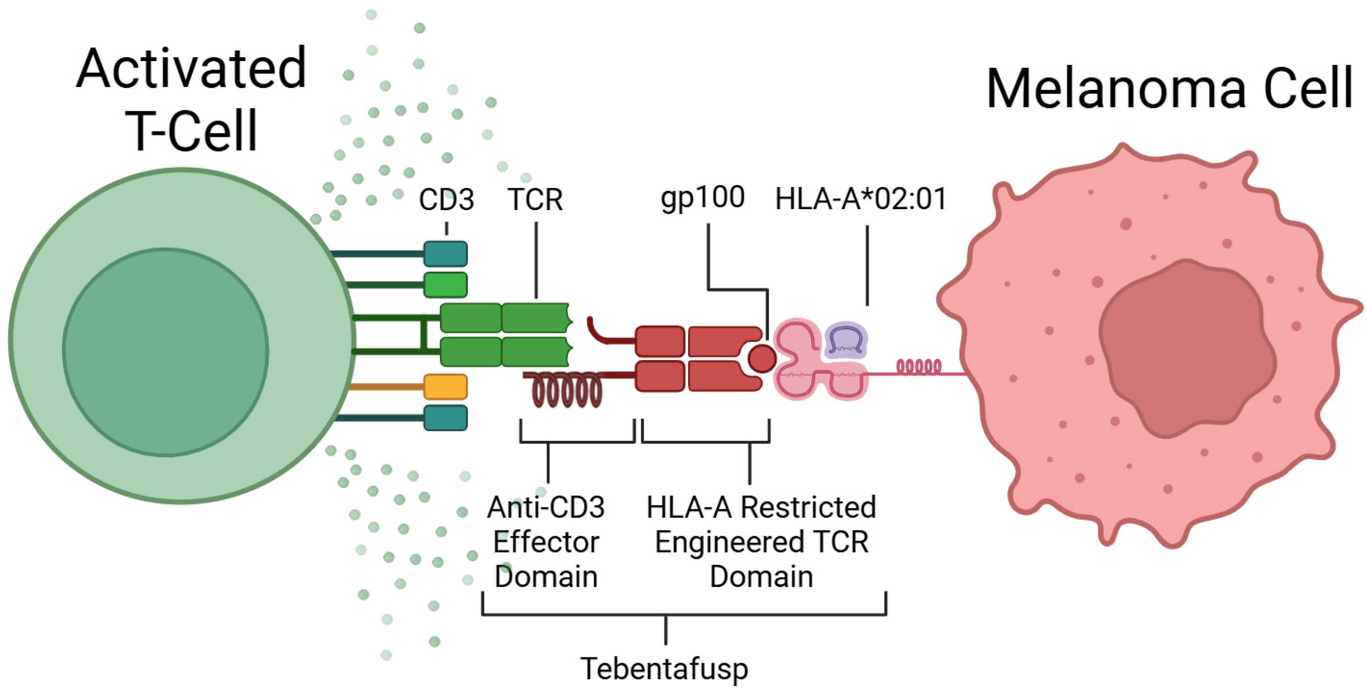 Cancers 17 01403 g003