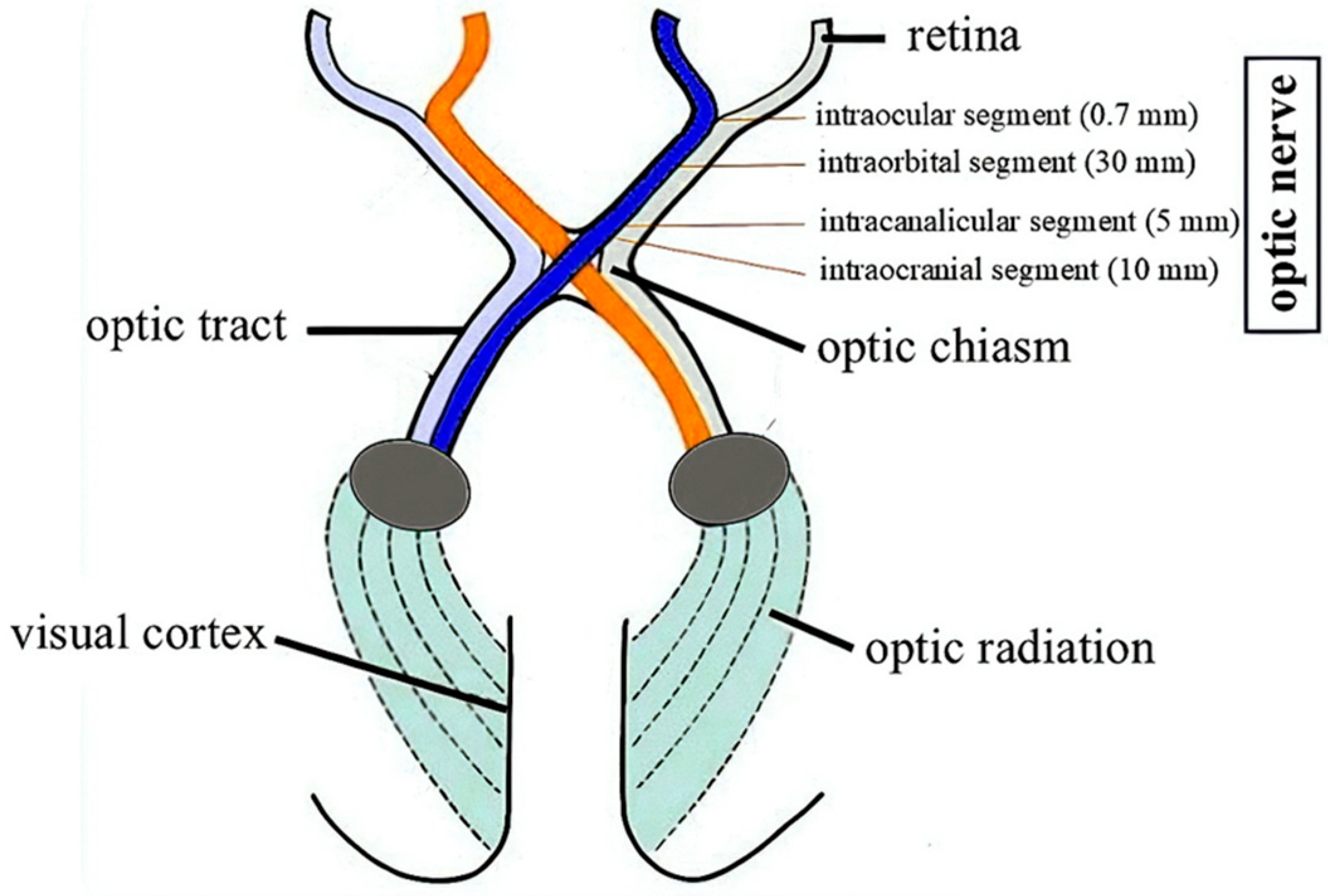 Cancers 17 01404 g001