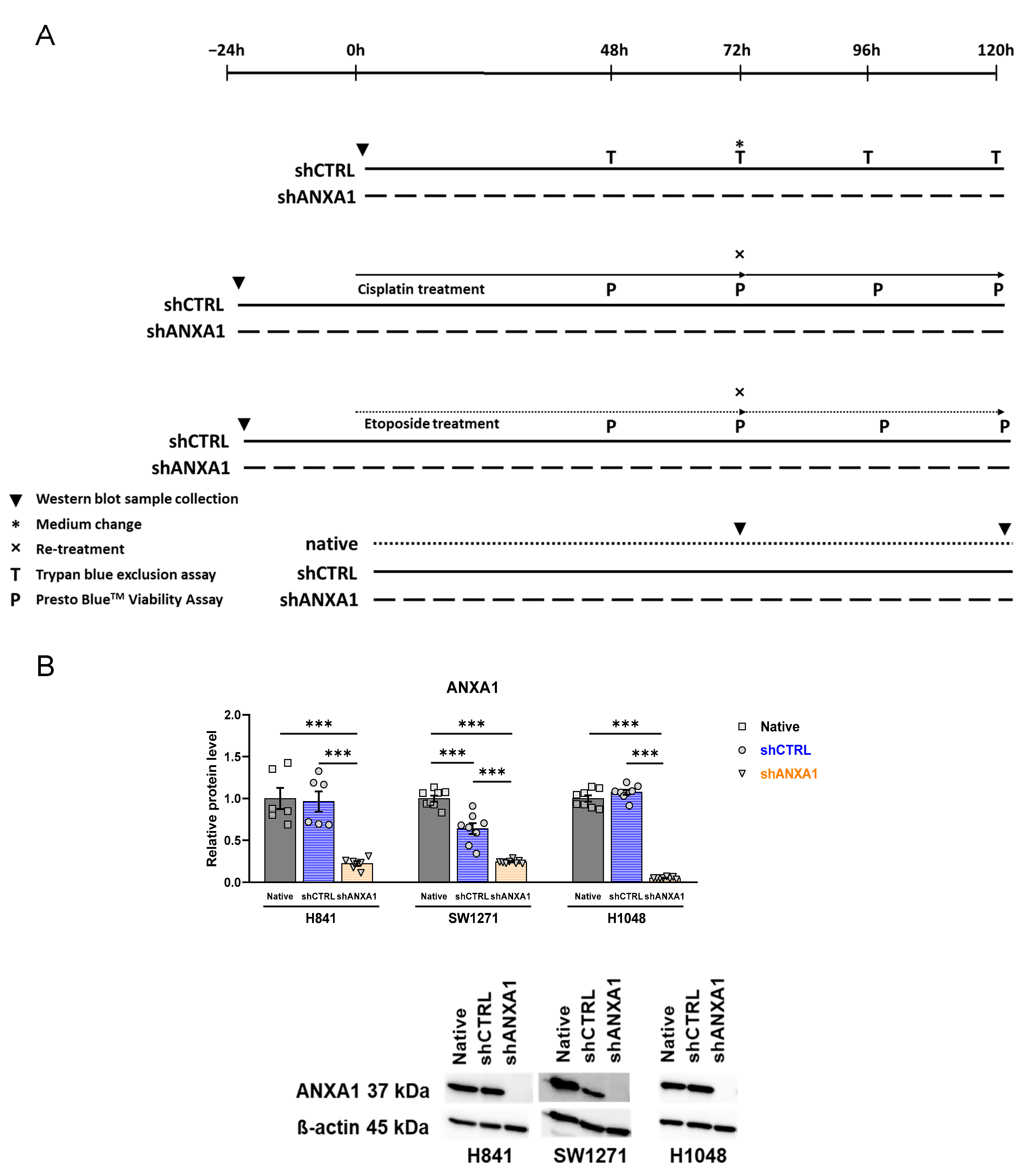 Cancers 17 01407 g005