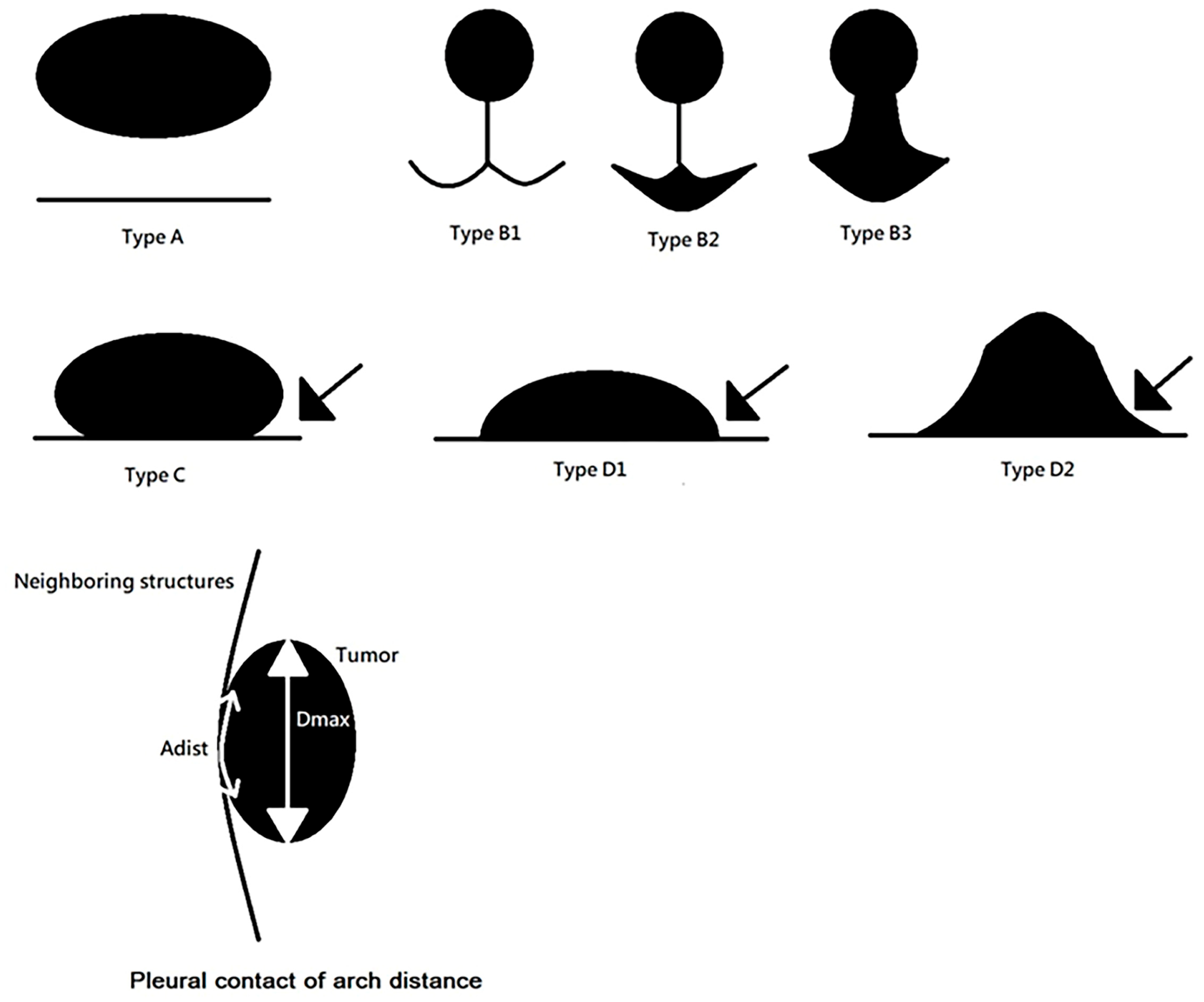 Cancers 17 01414 g002