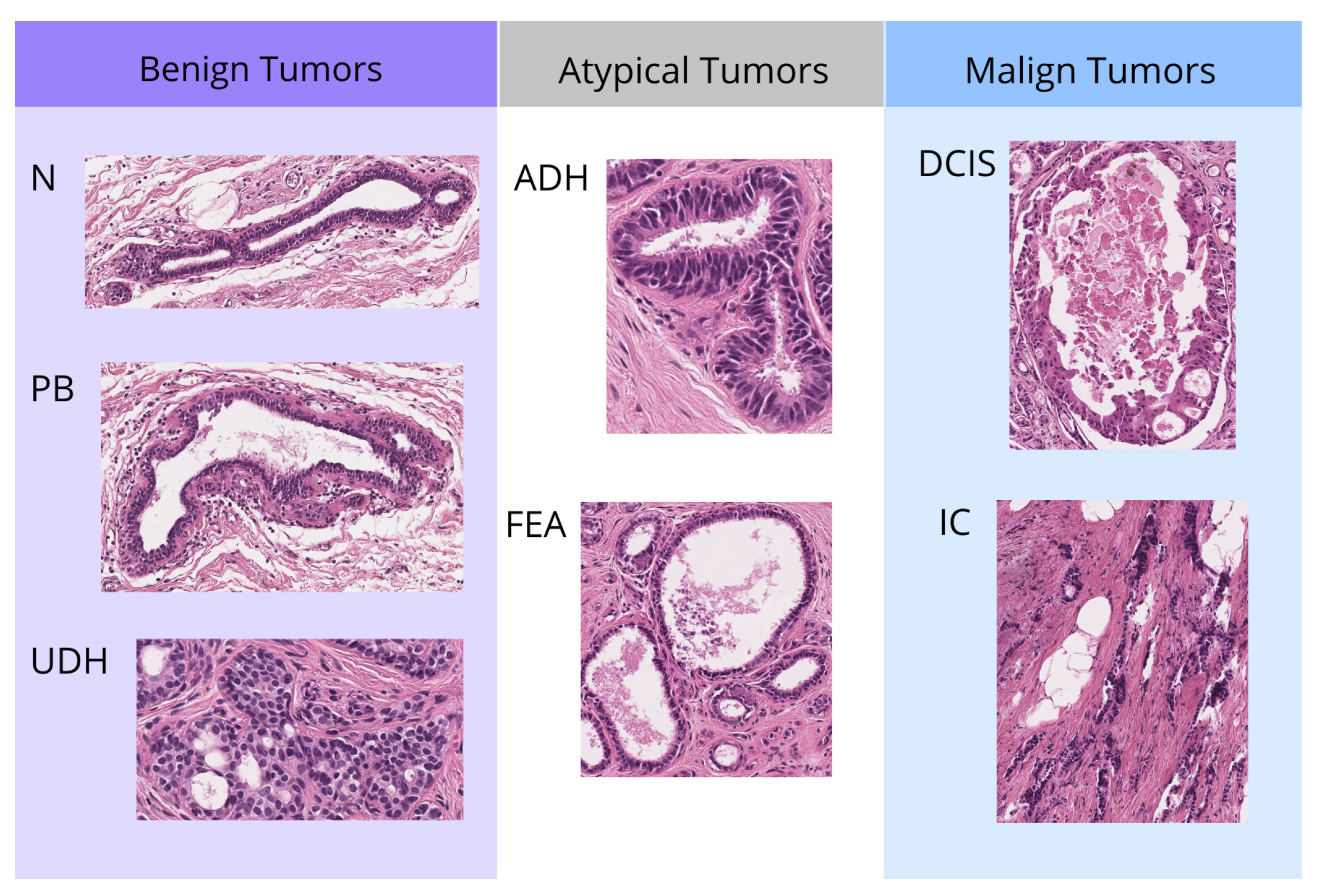 Cancers 17 01425 g001