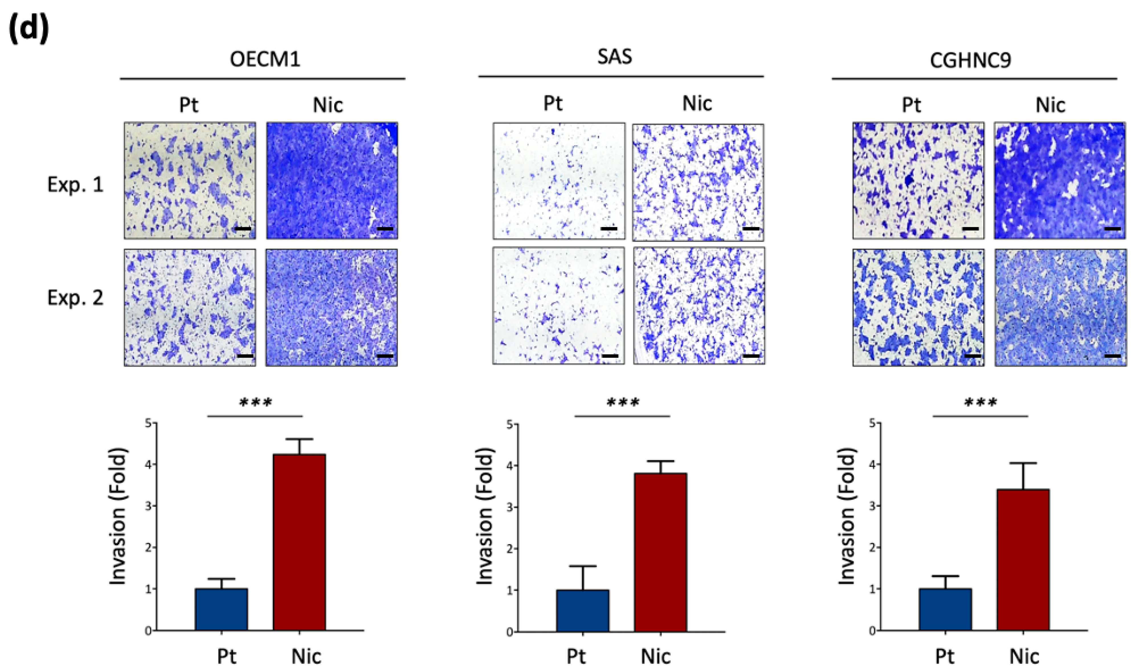 Cancers 17 01430 g001c