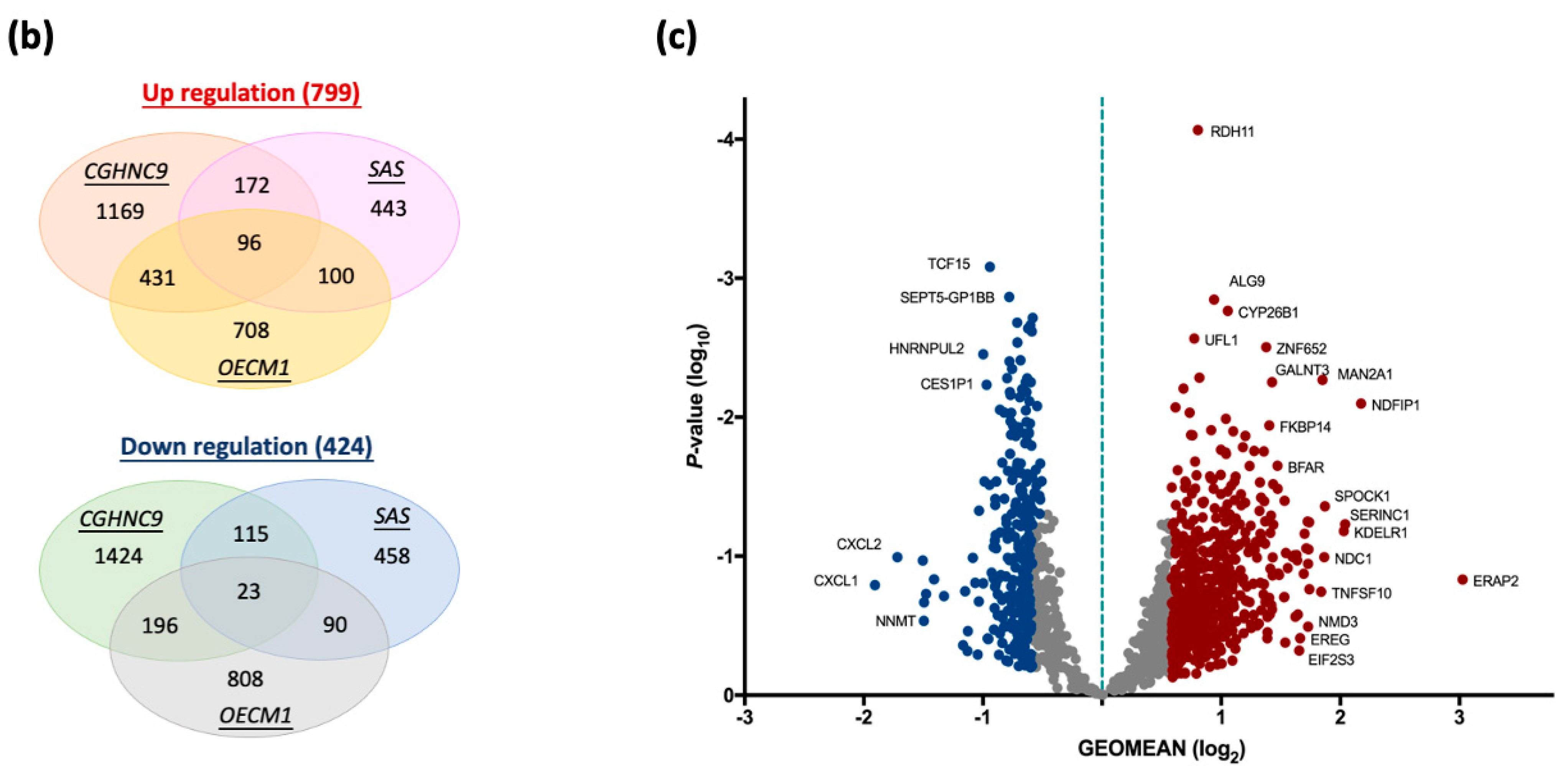 Cancers 17 01430 g002b