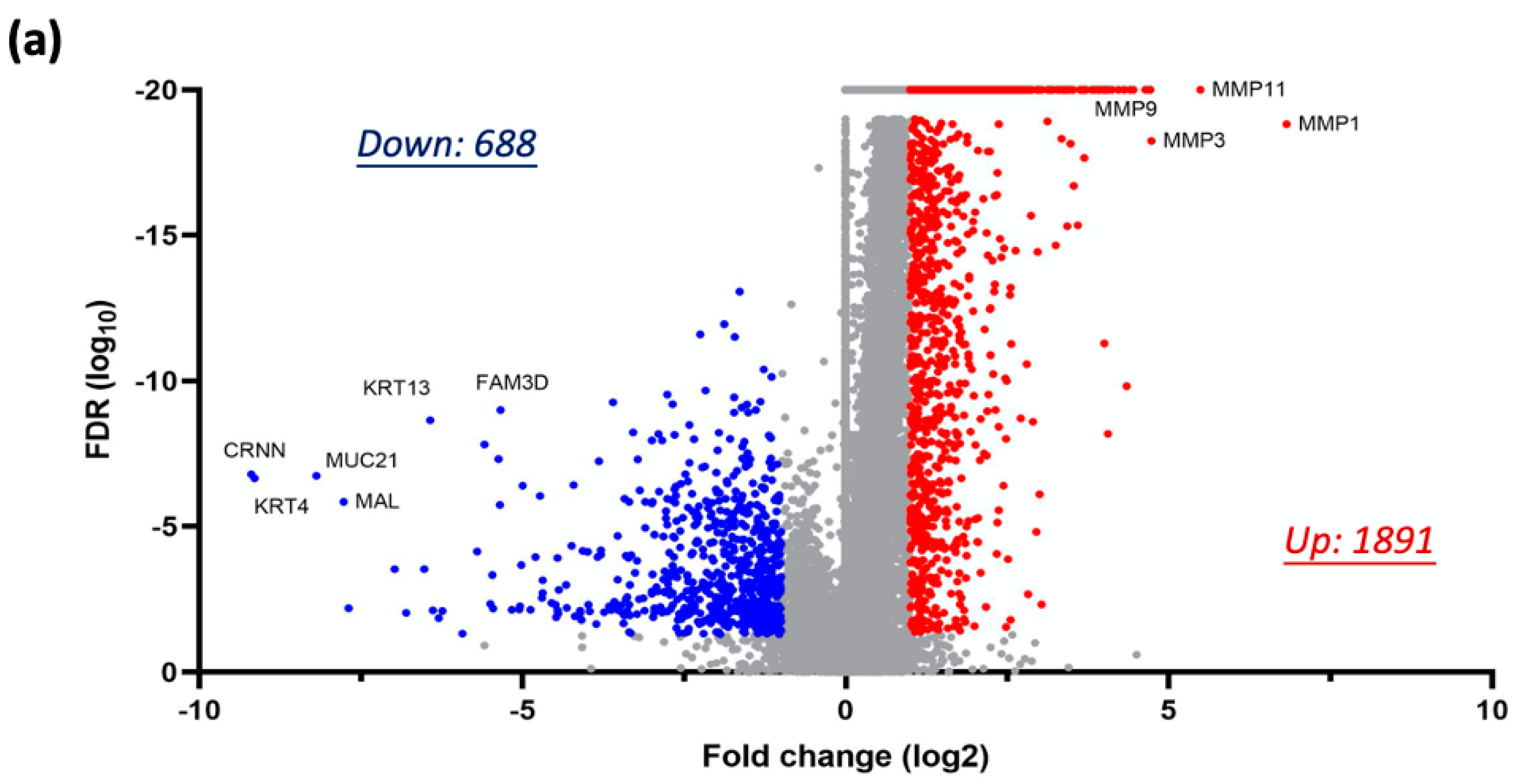 Cancers 17 01430 g004a