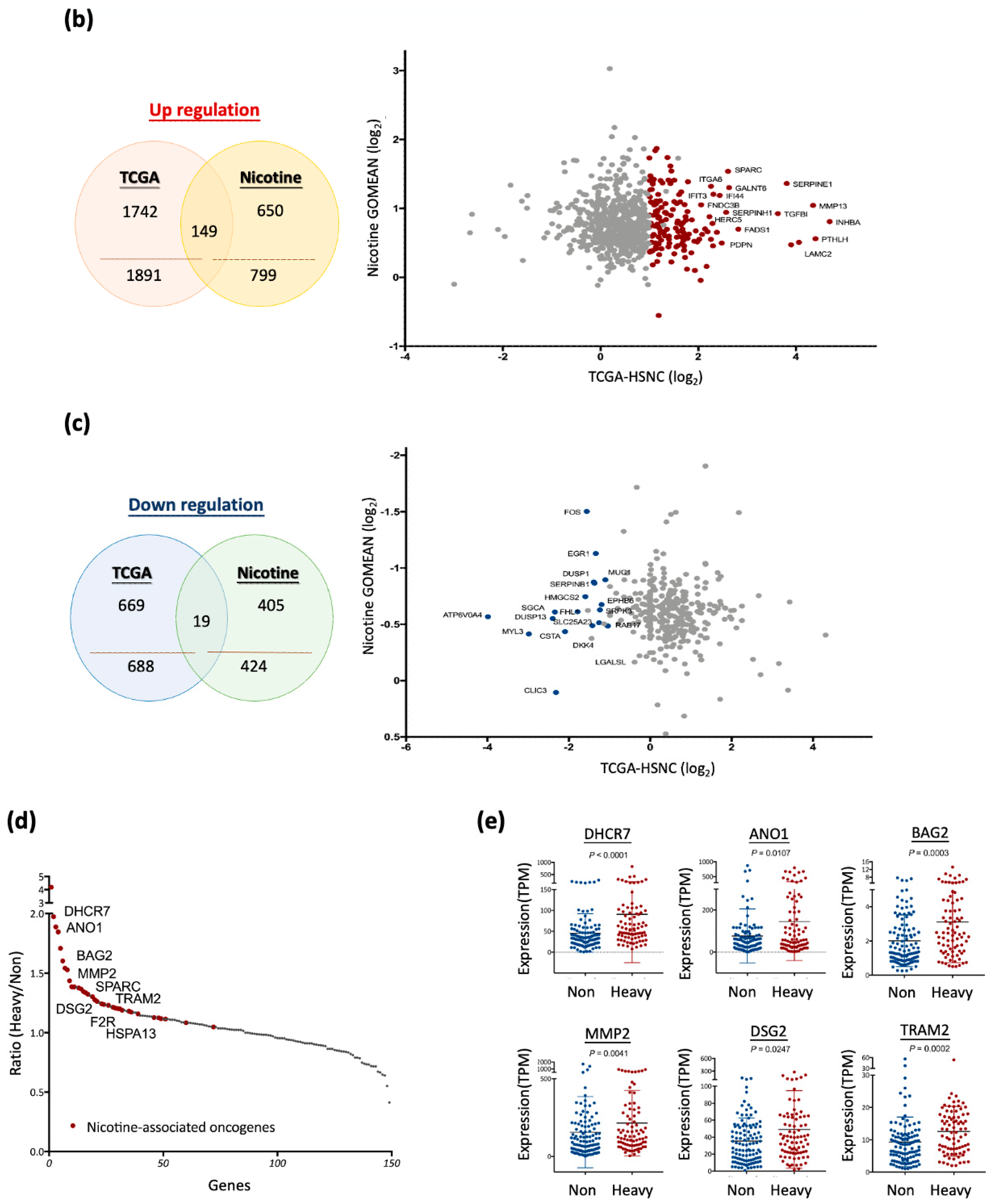 Cancers 17 01430 g004b