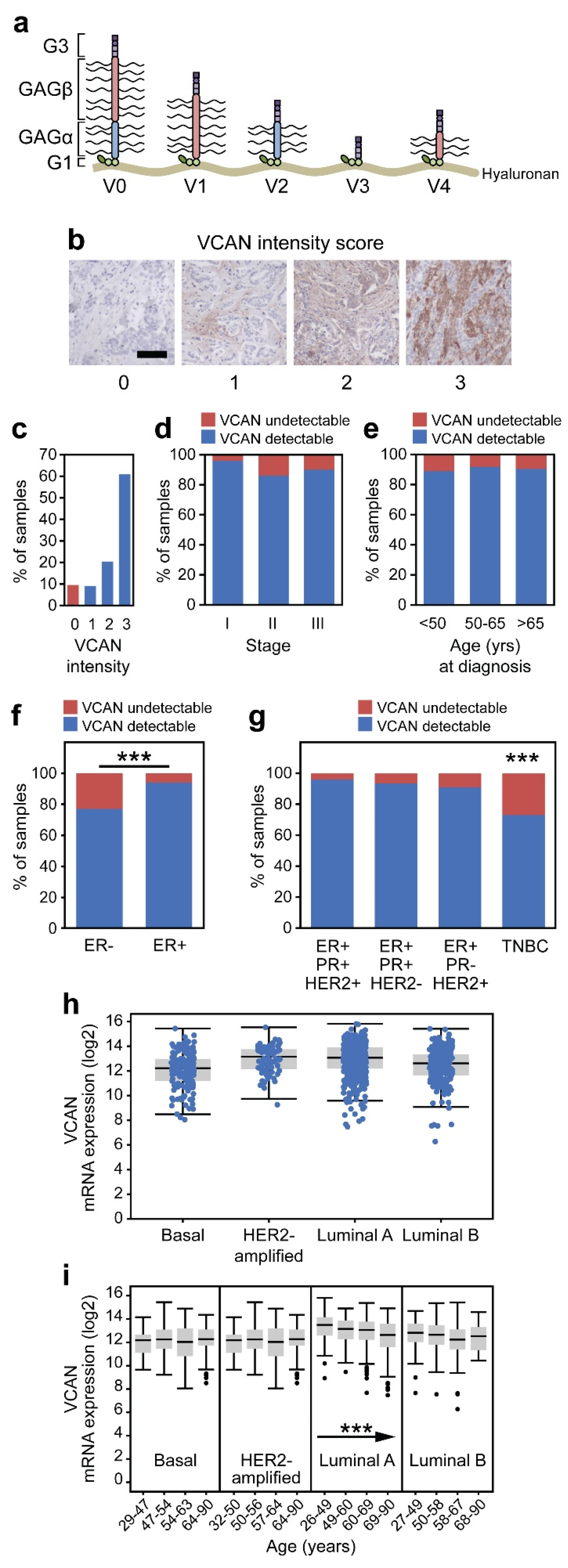 Cancers 17 01435 g001