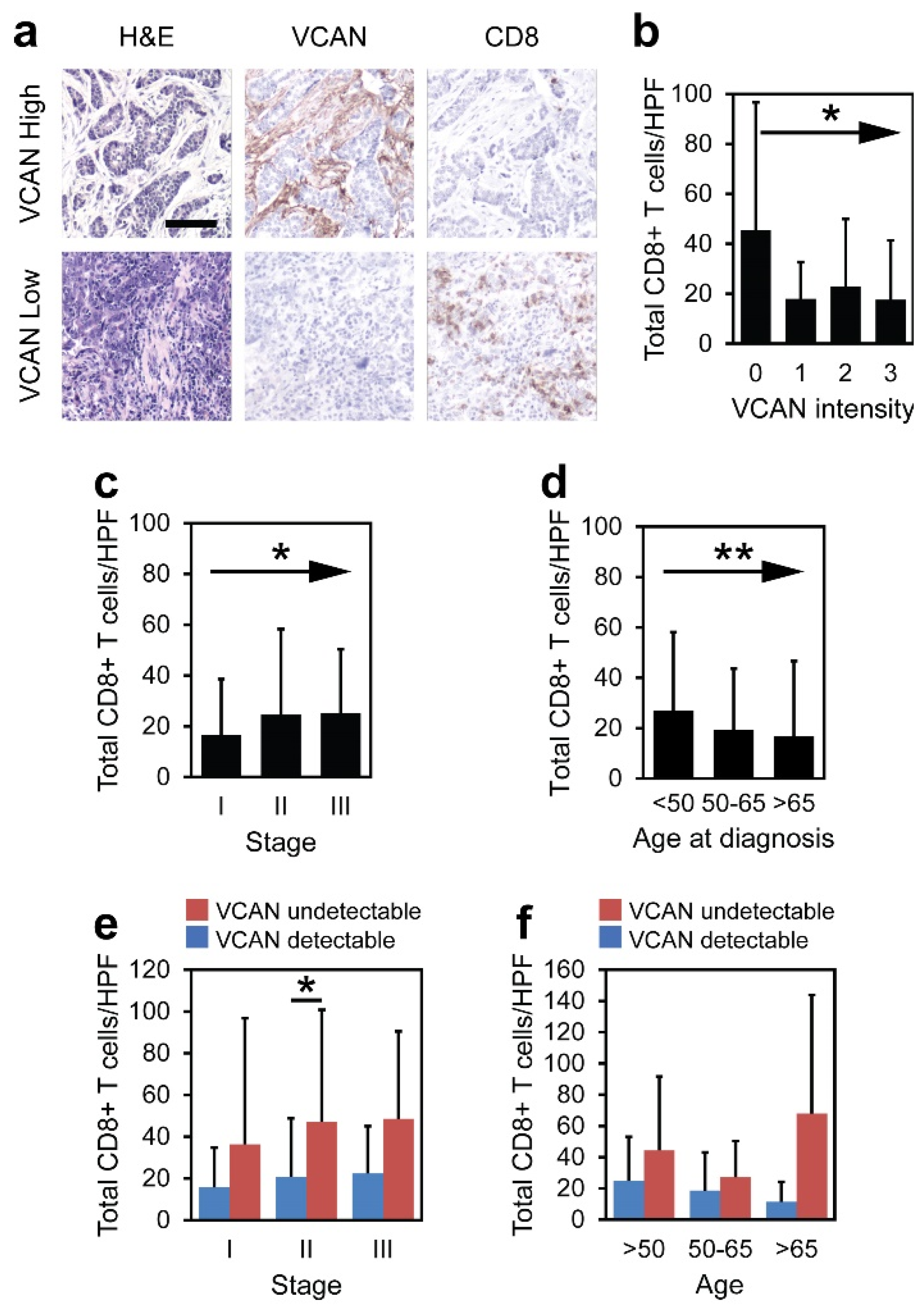 Cancers 17 01435 g003