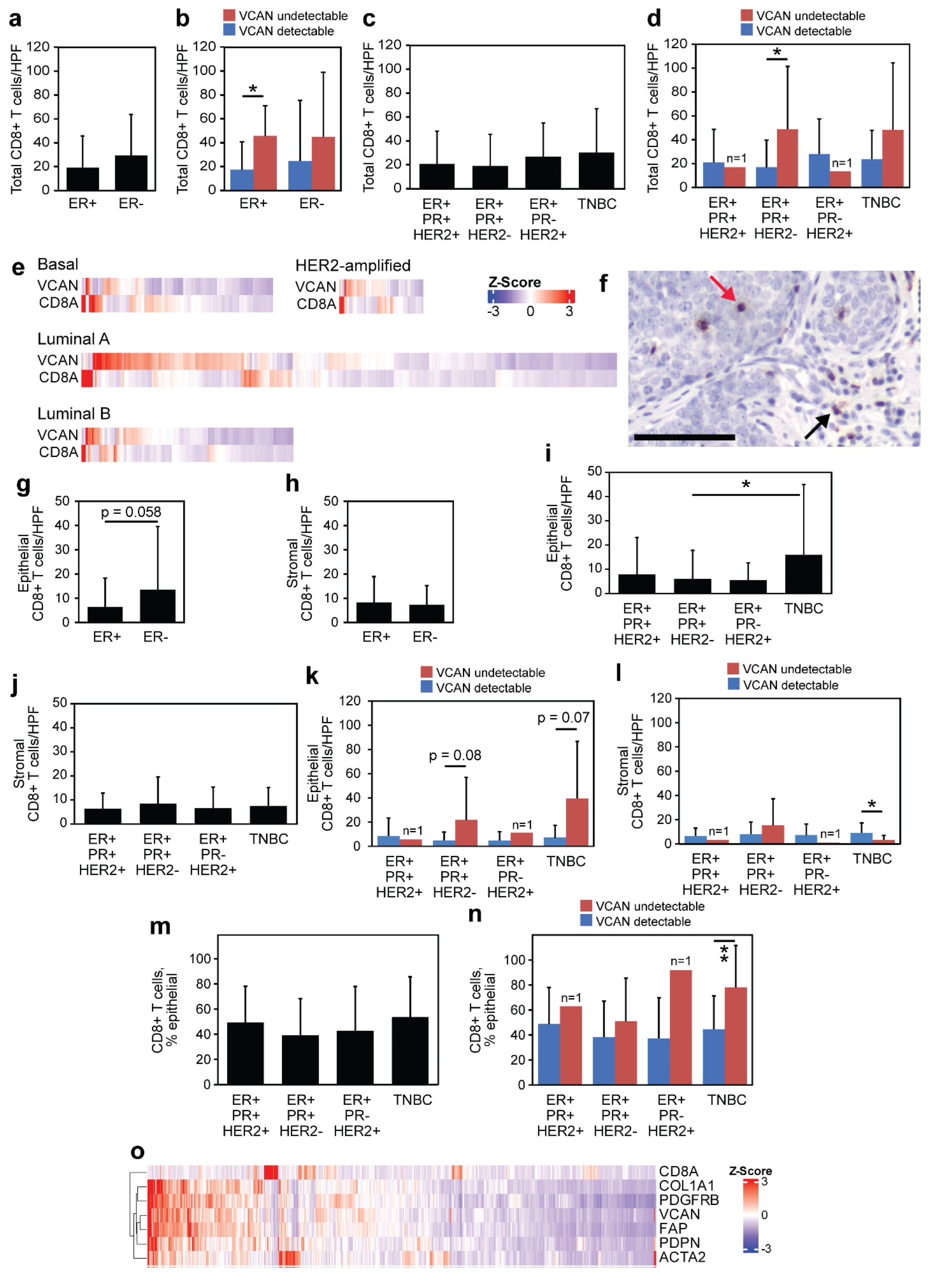 Cancers 17 01435 g004