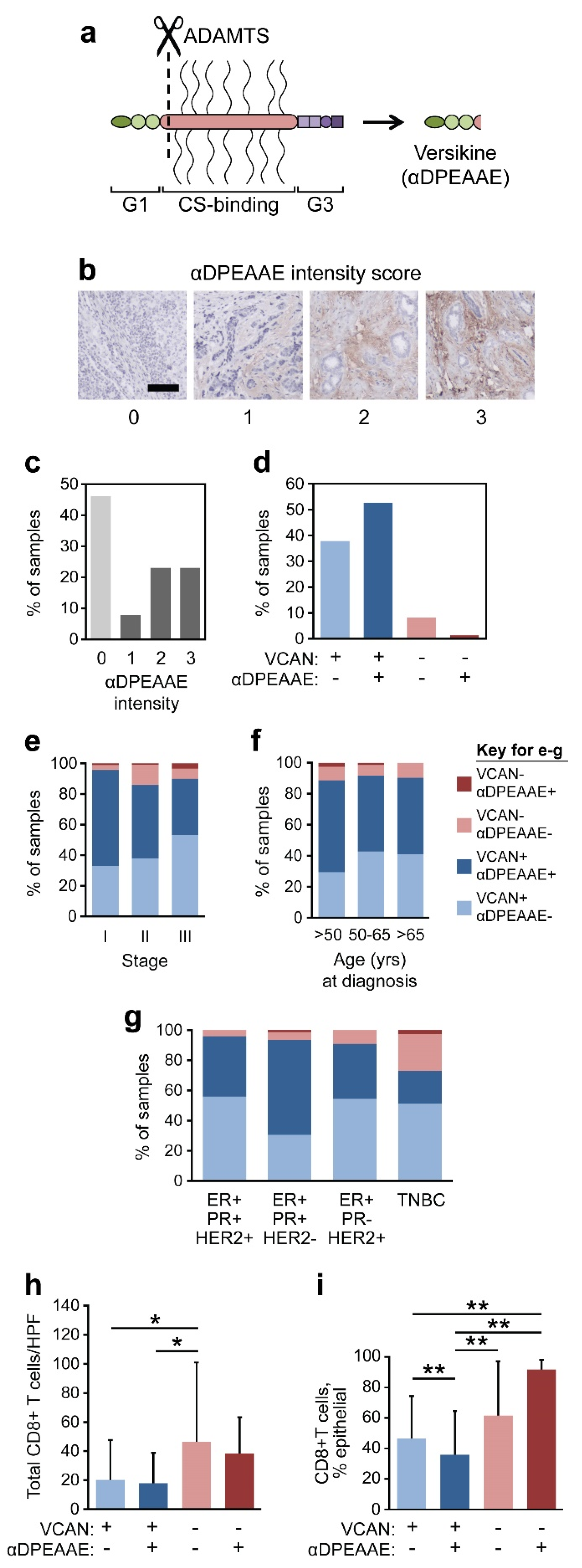 Cancers 17 01435 g005