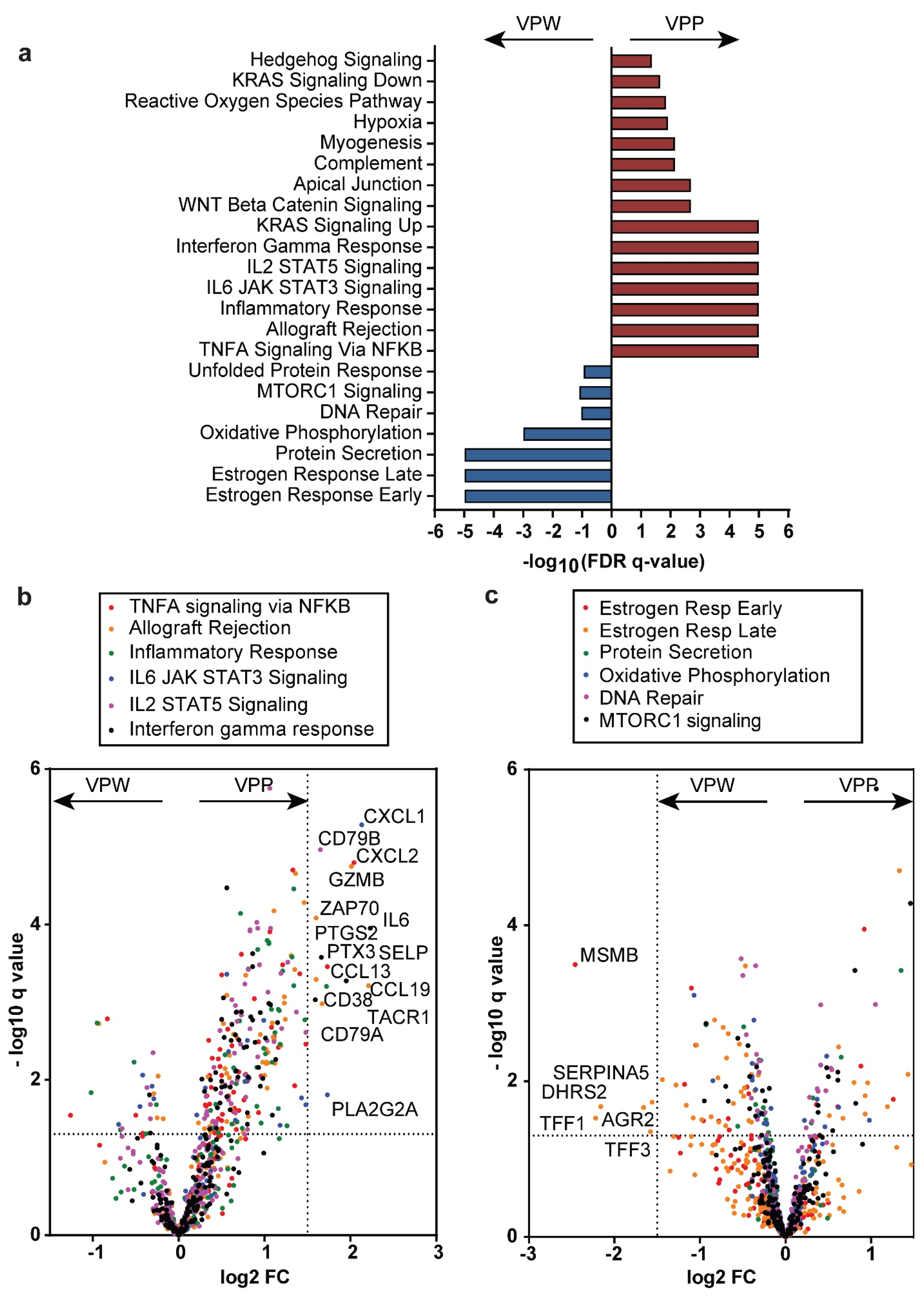 Cancers 17 01435 g006