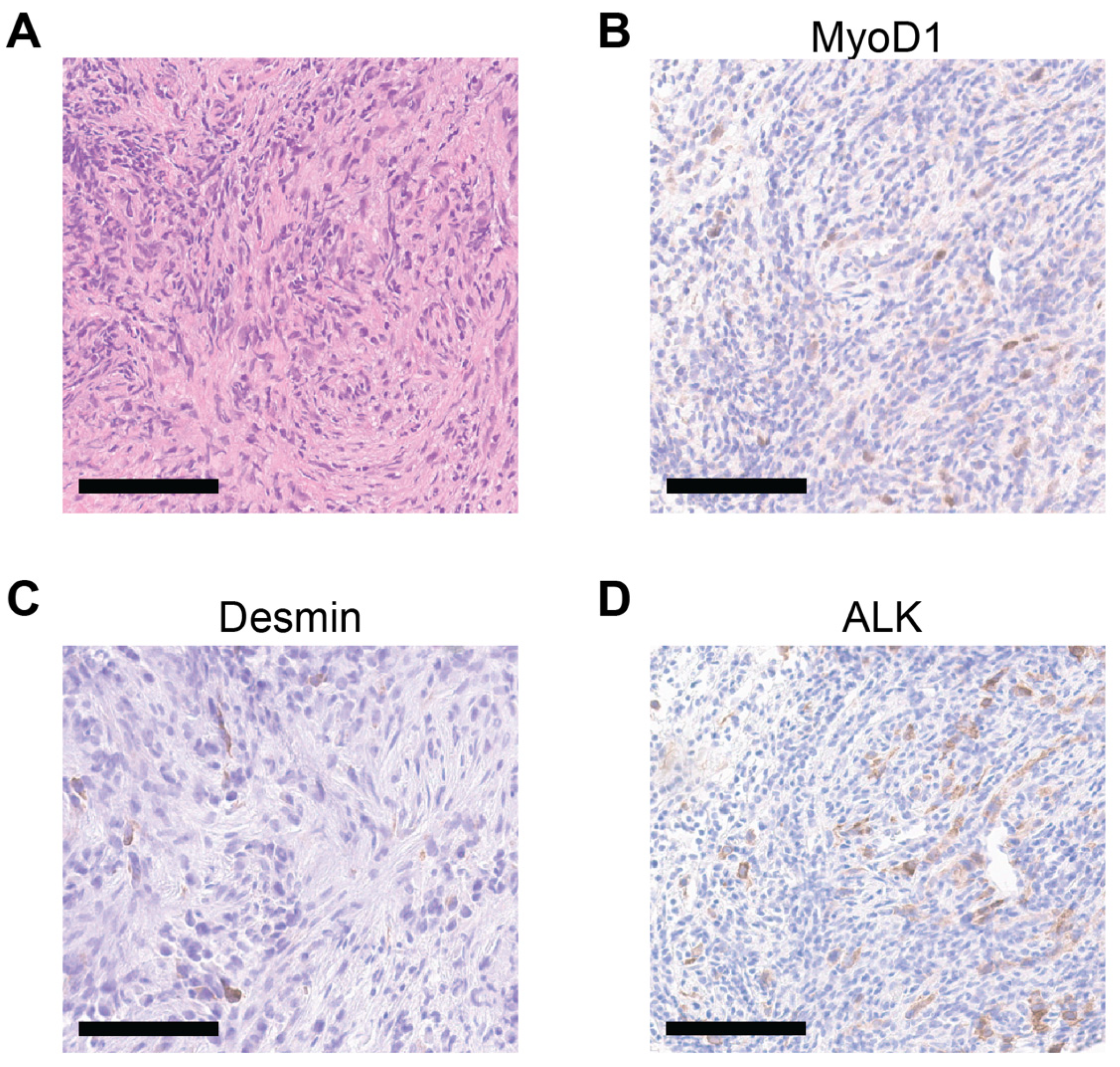 Cancers 17 01441 g001