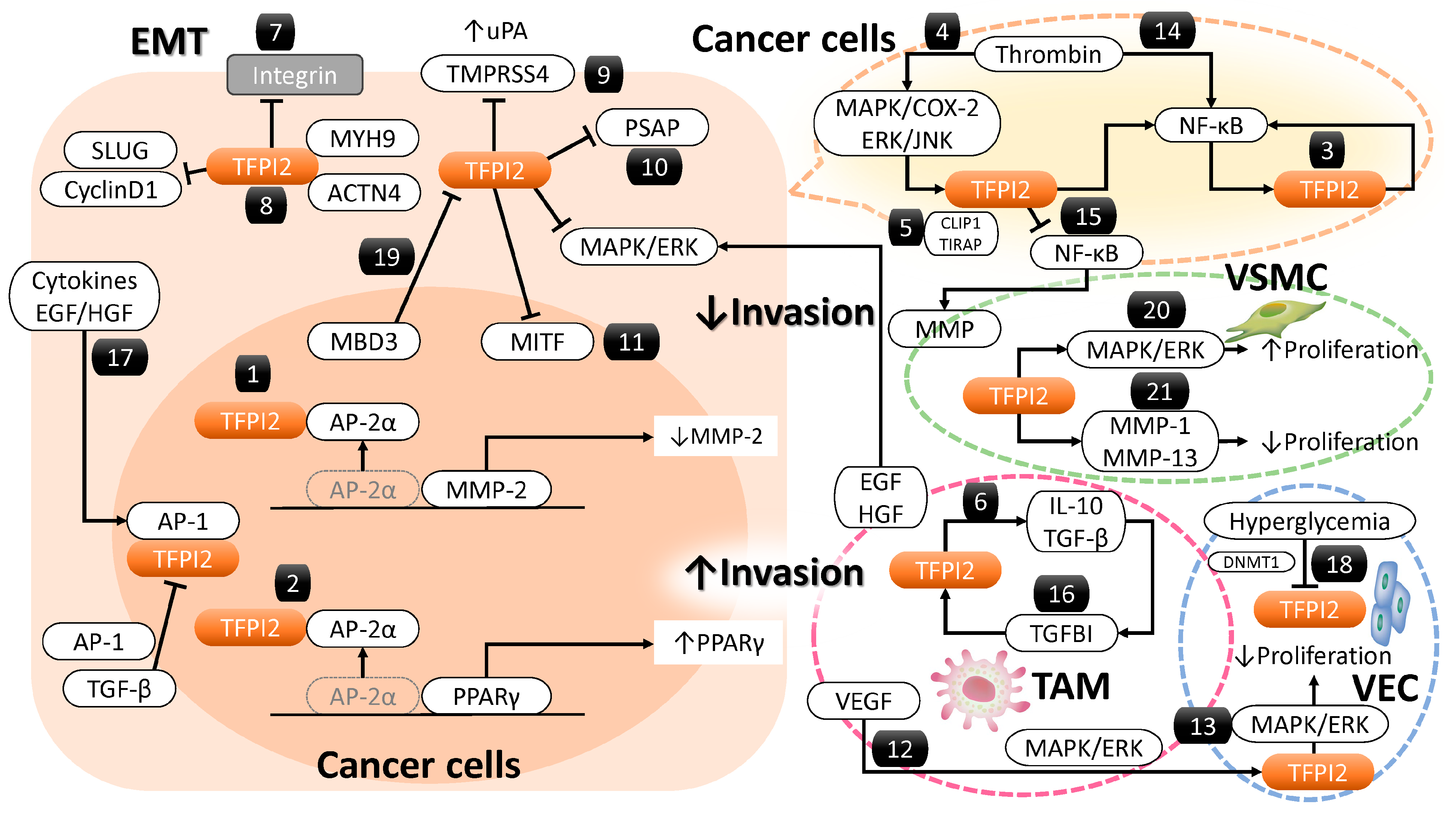 Cancers 17 01447 g002 Cancers 17 01447 g002