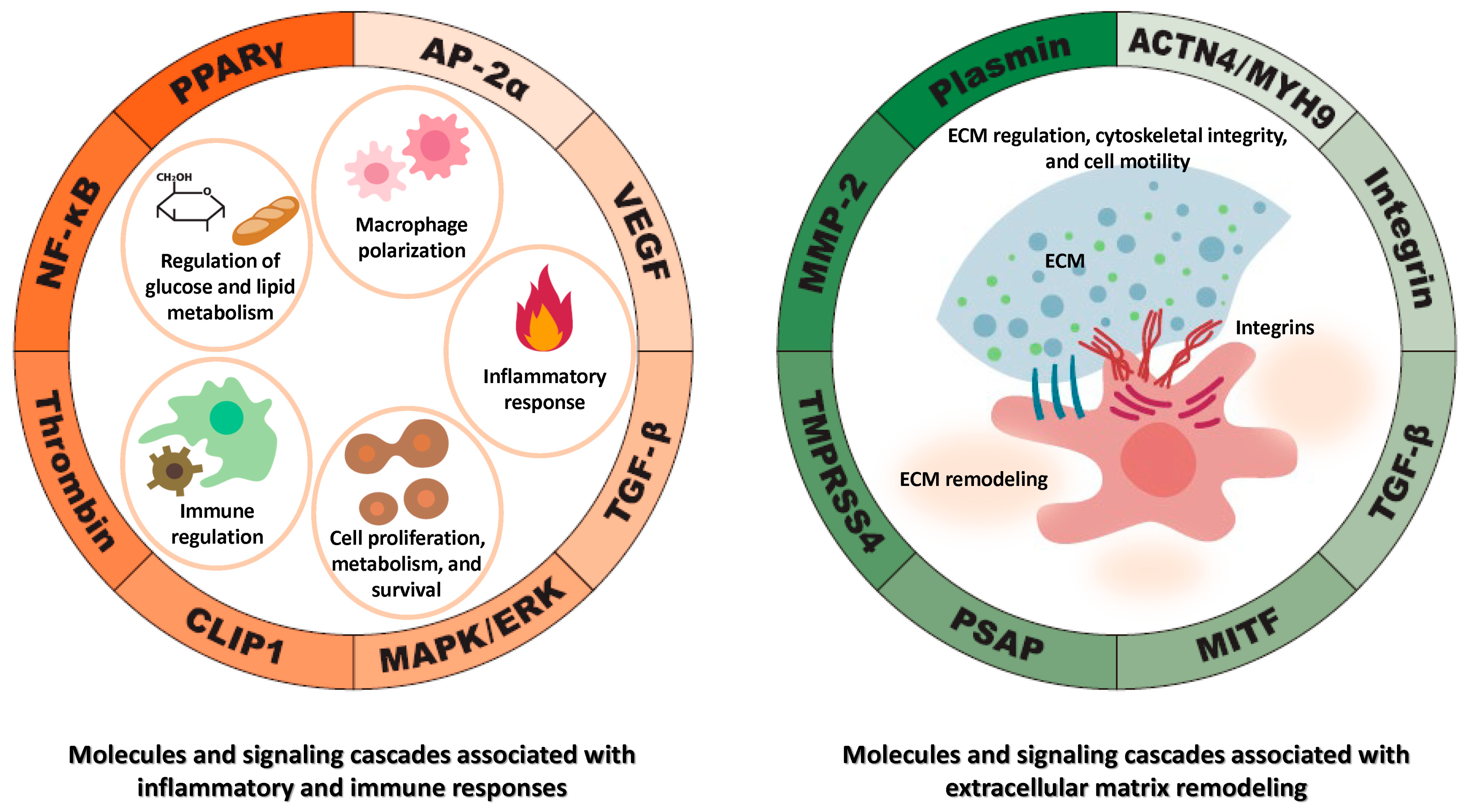 Cancers 17 01447 g003 Cancers 17 01447 g003