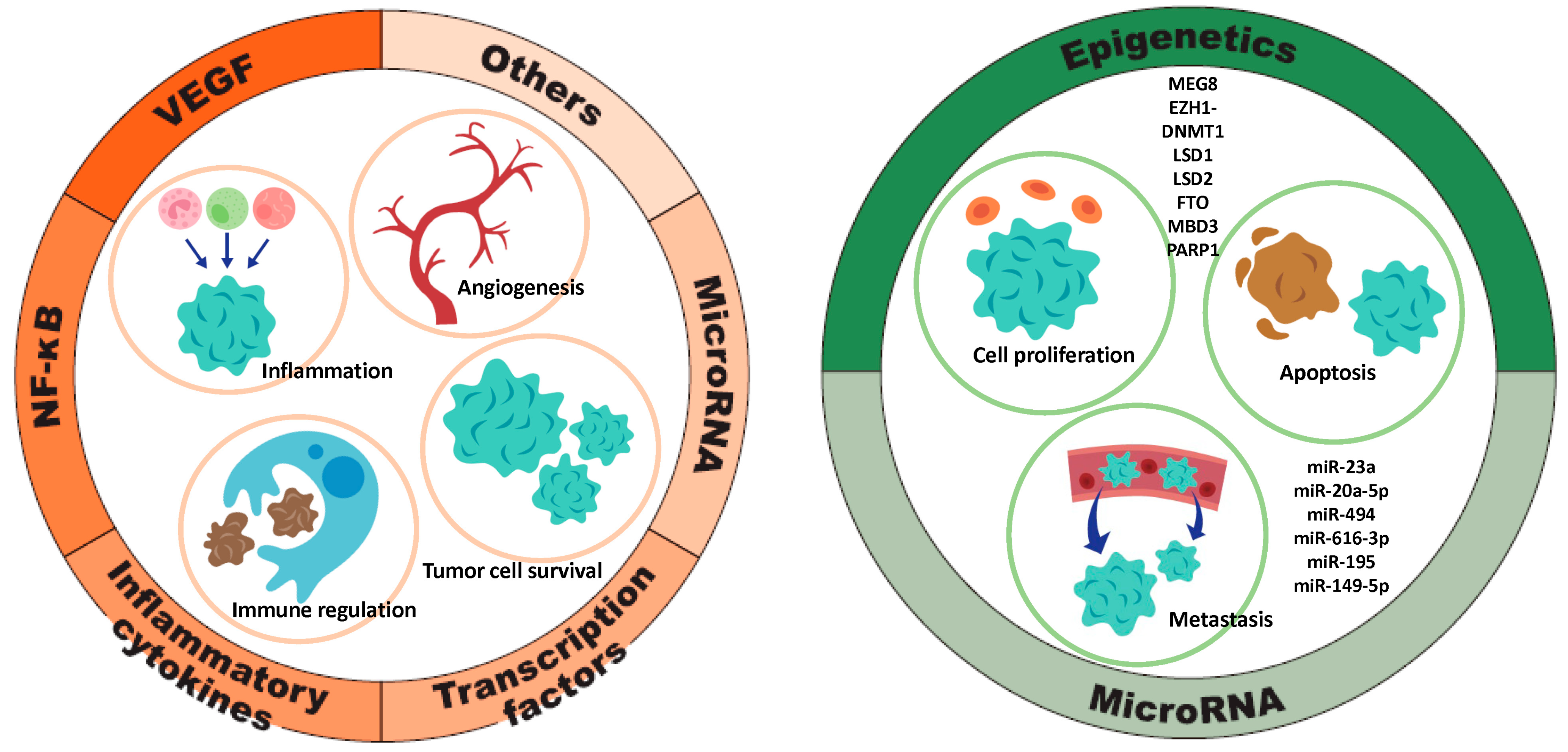 Cancers 17 01447 g004 Cancers 17 01447 g004