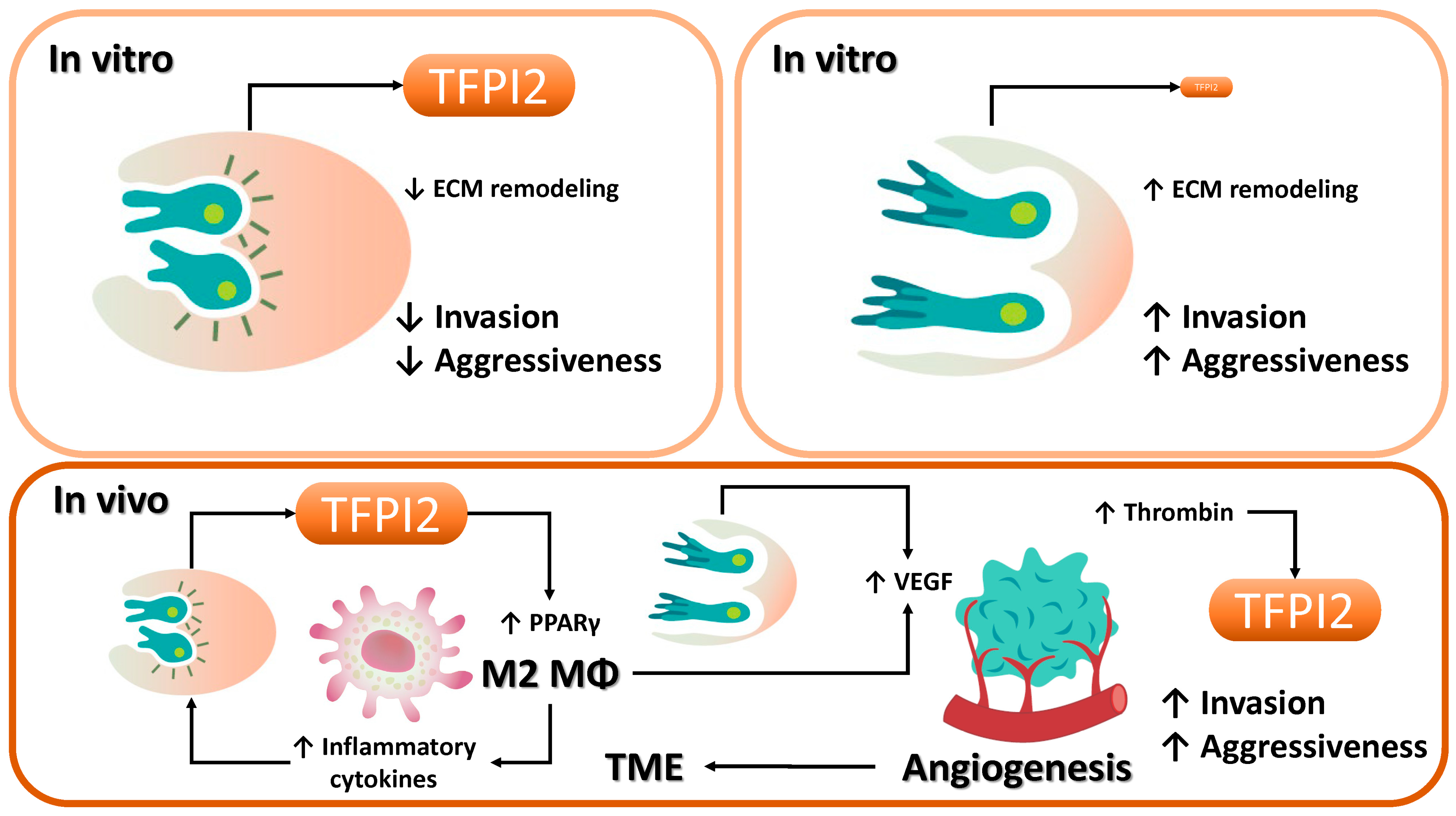 Cancers 17 01447 g006 Cancers 17 01447 g006