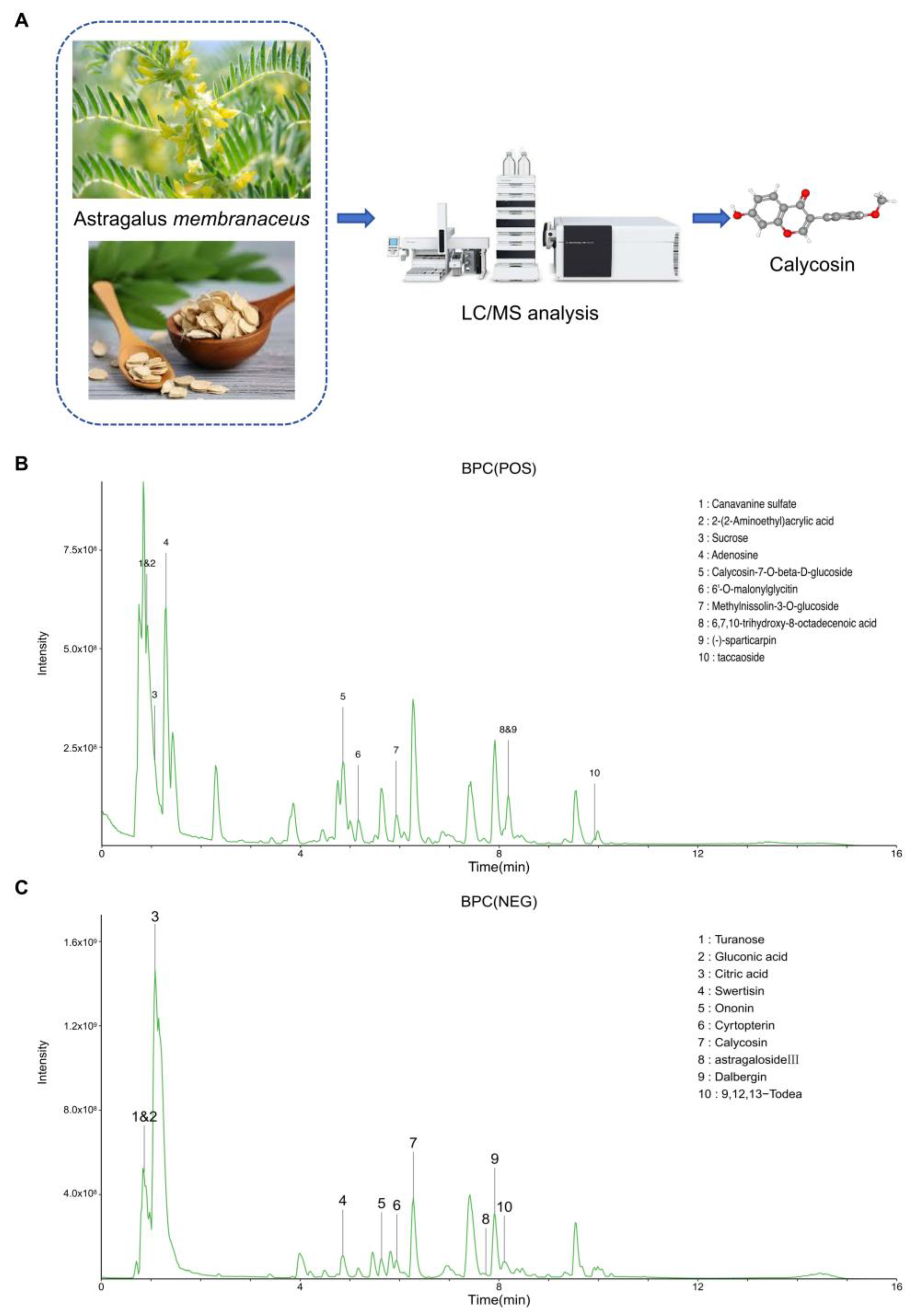 Cancers 17 01455 g001