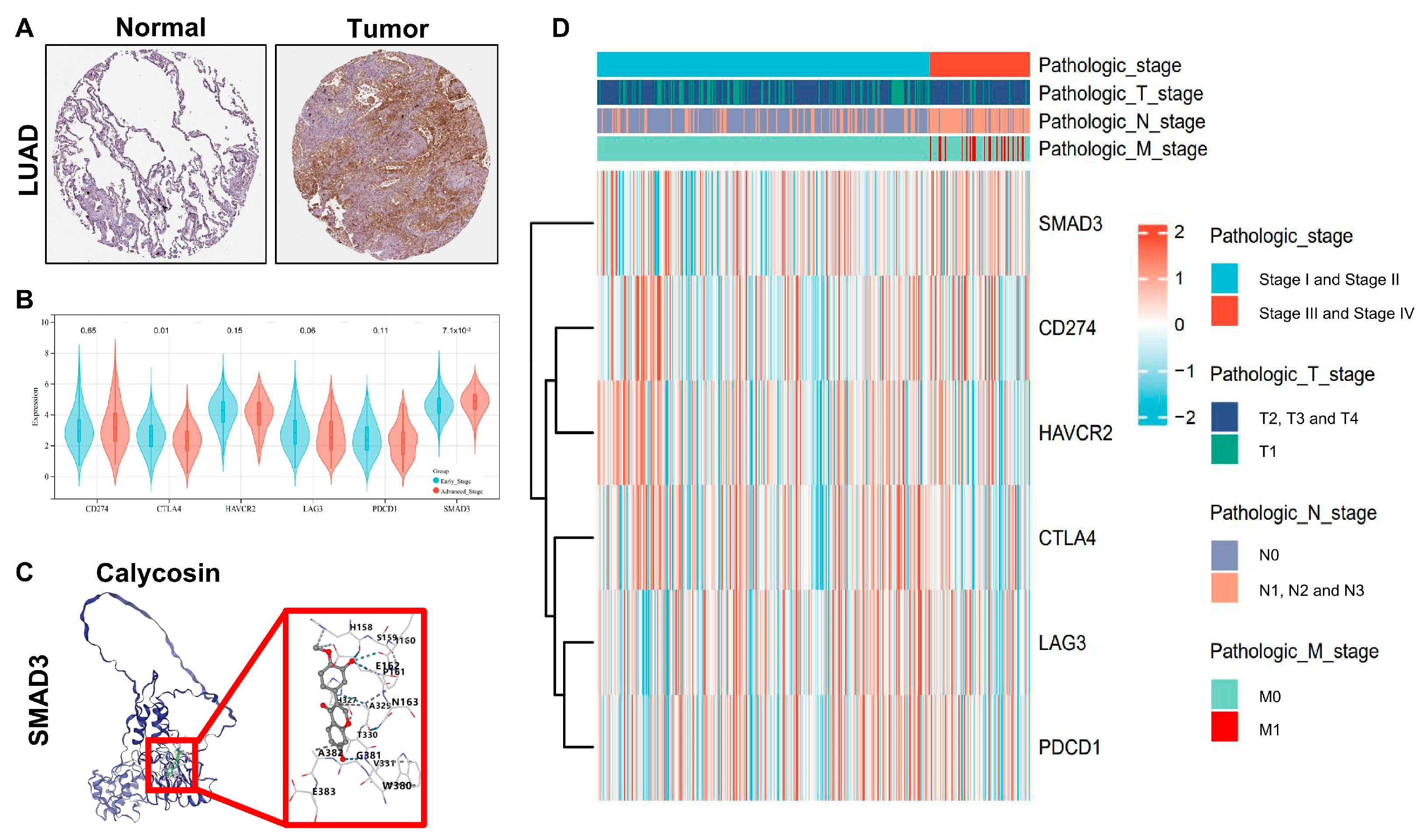 Cancers 17 01455 g003