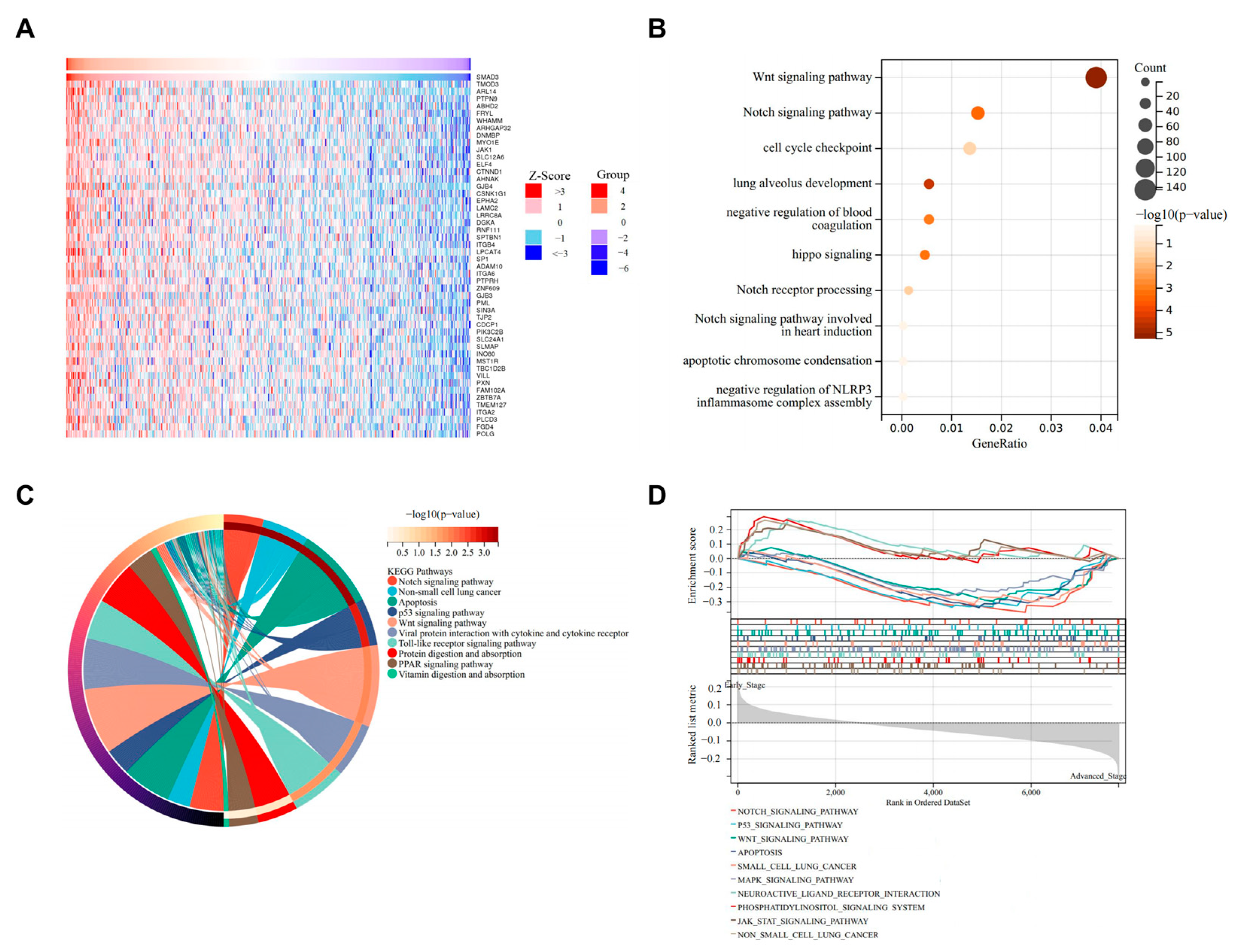 Cancers 17 01455 g004