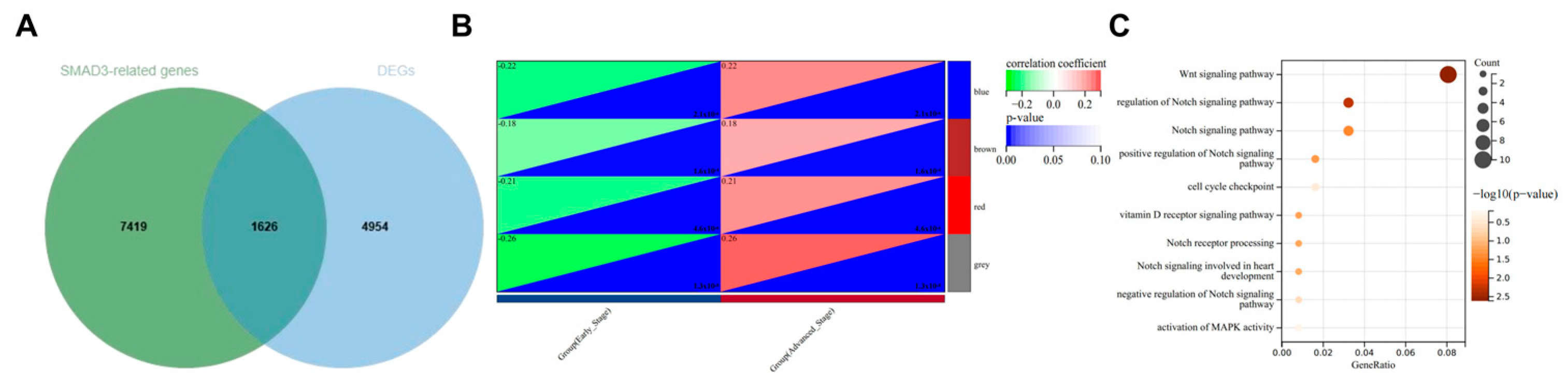 Cancers 17 01455 g005