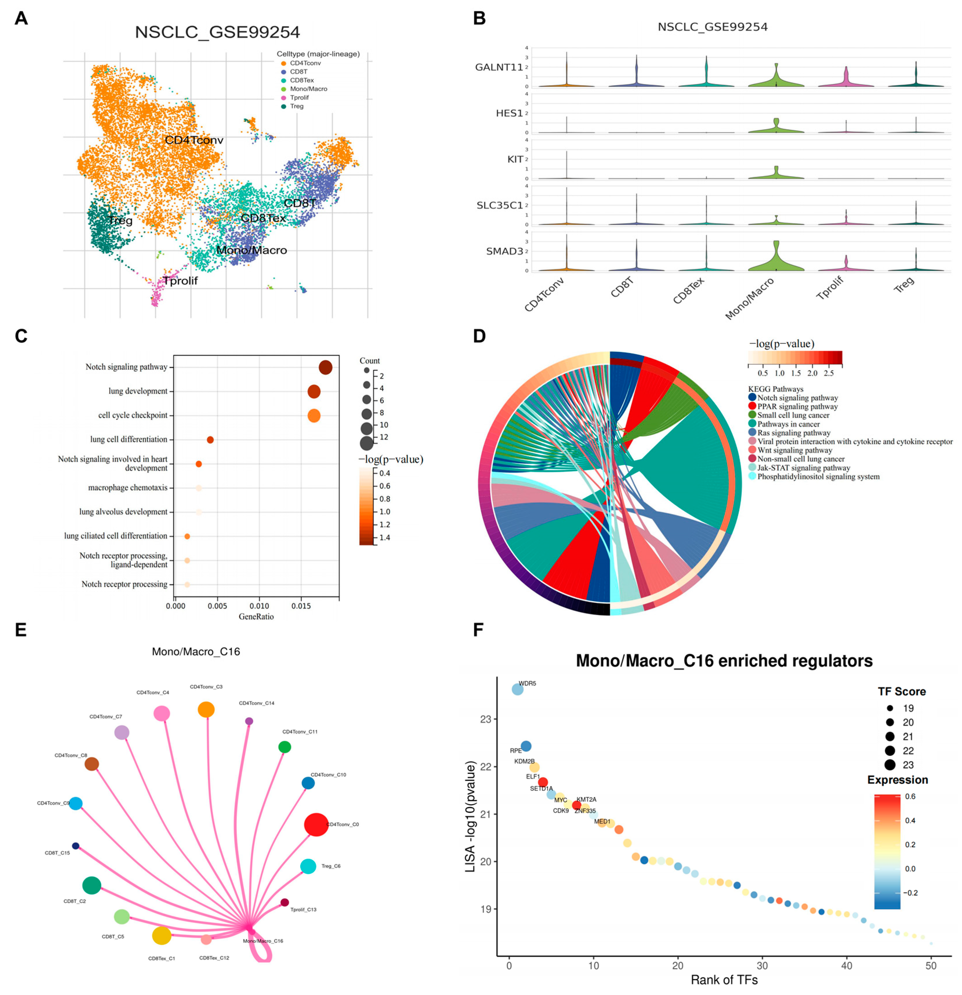 Cancers 17 01455 g007