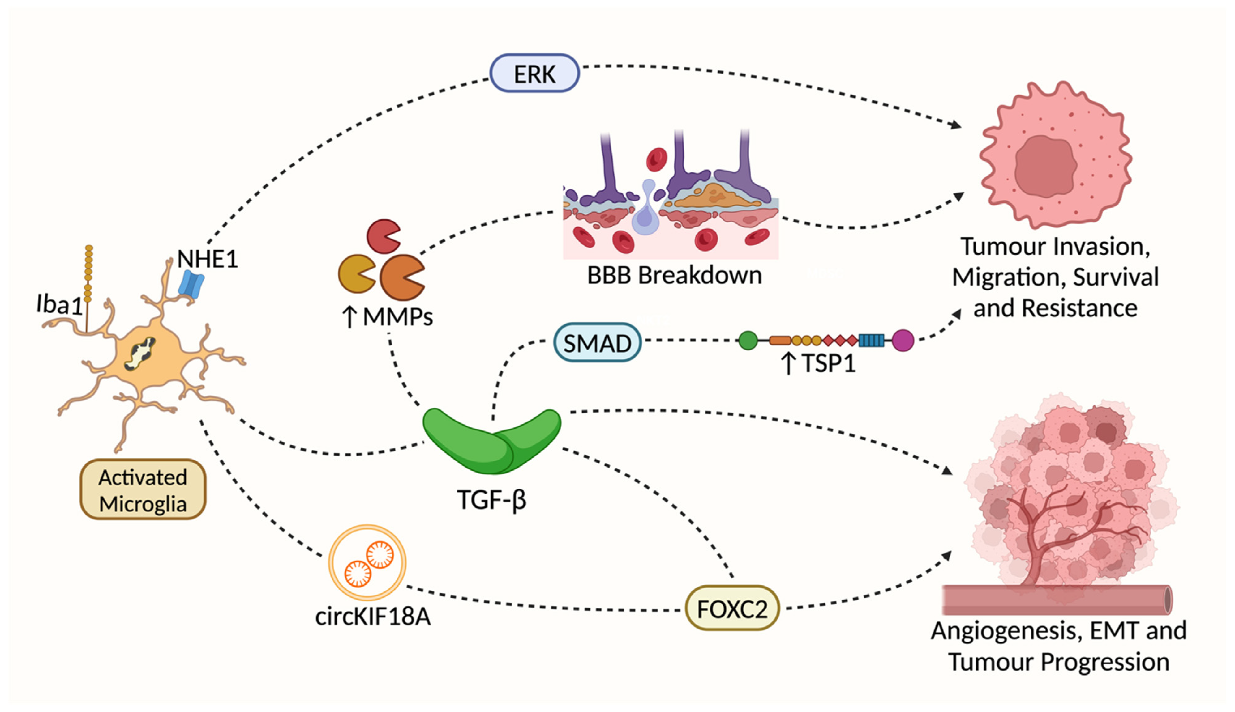 Cancers 17 01457 g002 Cancers 17 01457 g002