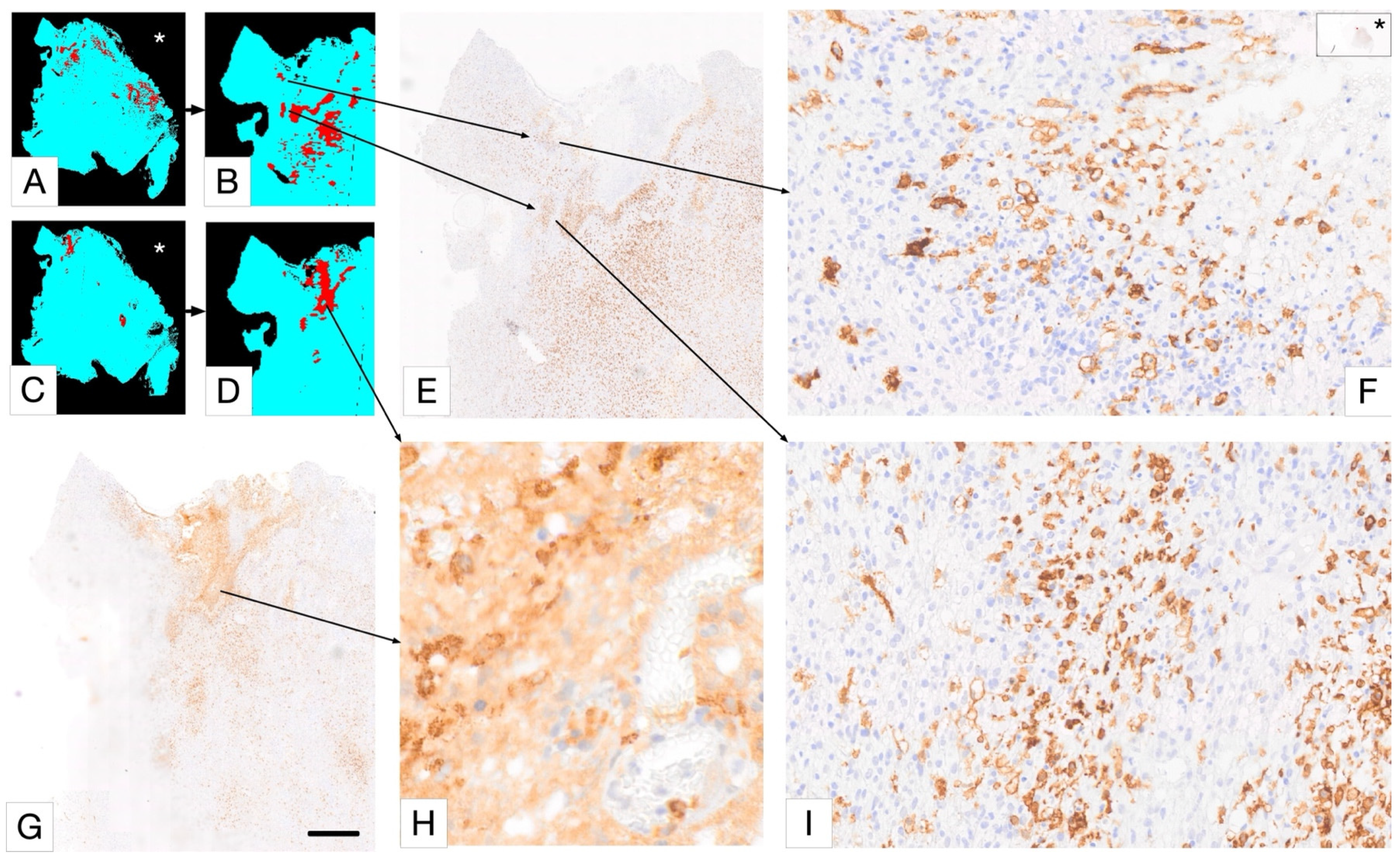 Cancers 17 01457 g006 Cancers 17 01457 g006