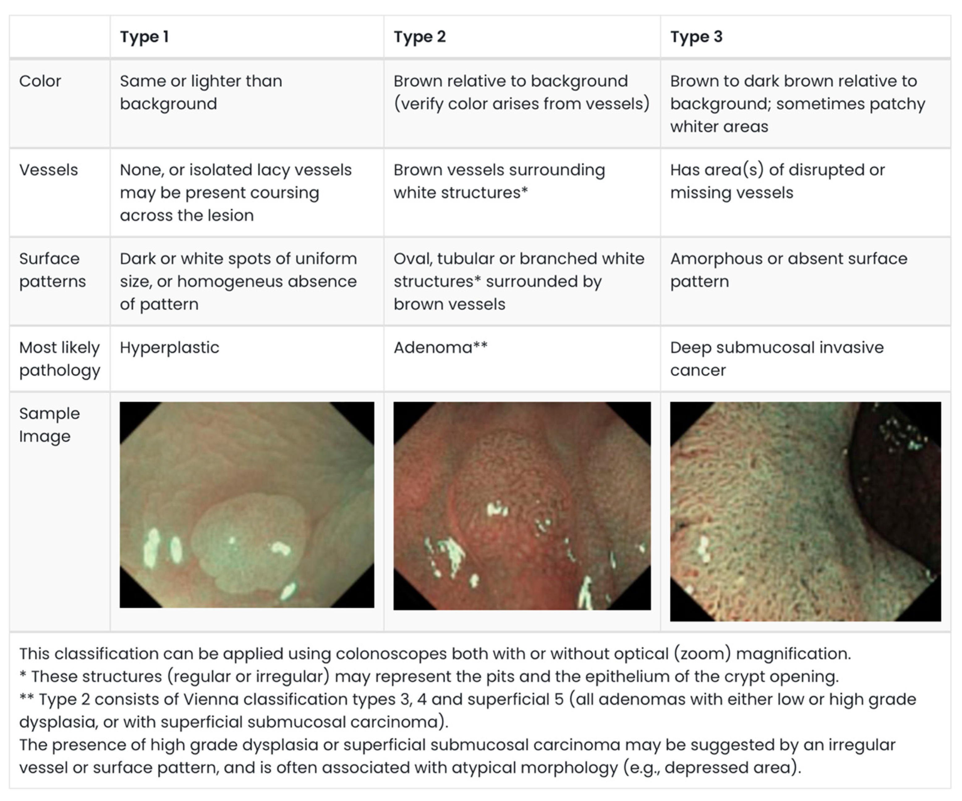Cancers 17 01464 g001