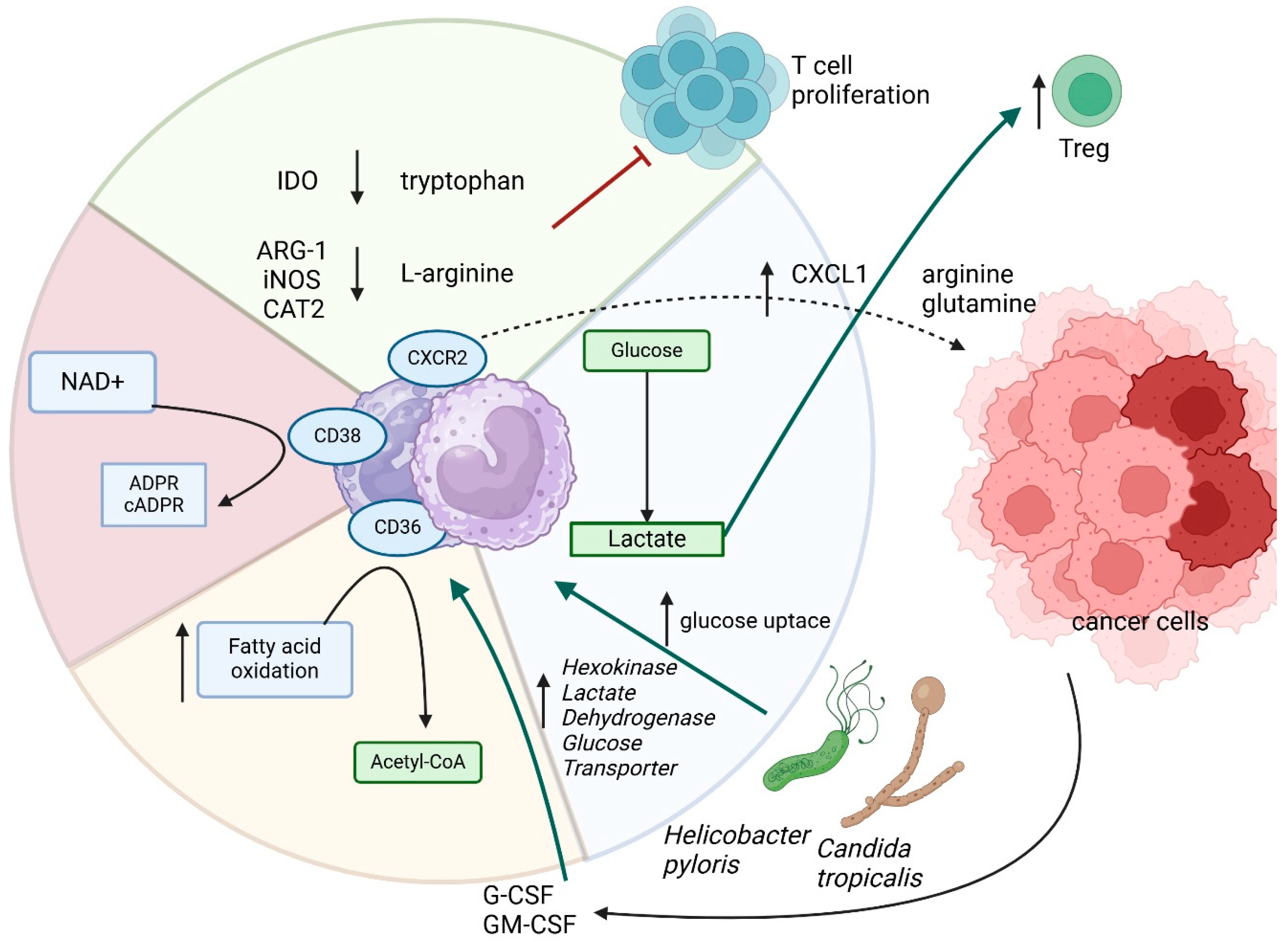 Cancers 17 01467 g003
