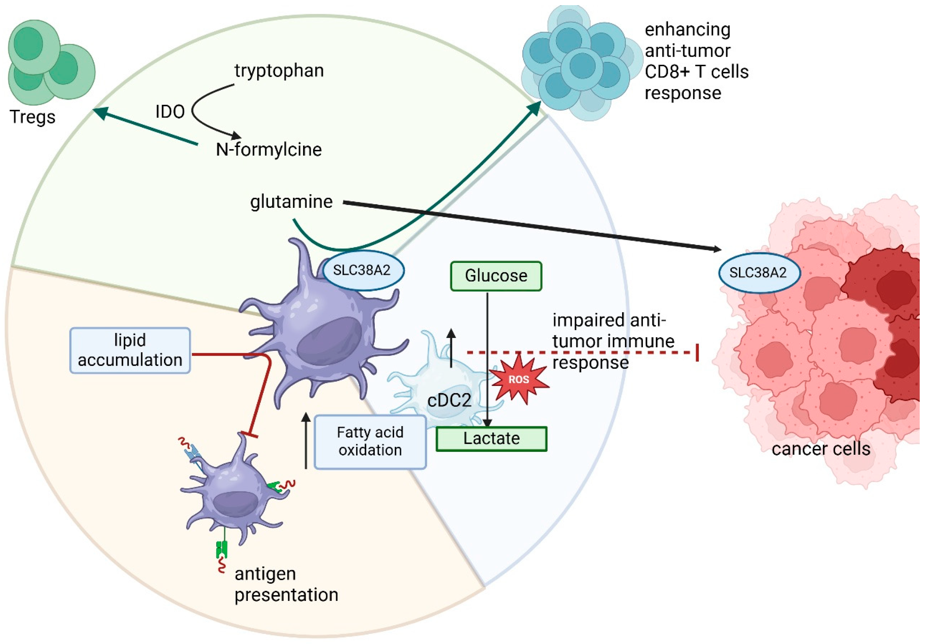 Cancers 17 01467 g005