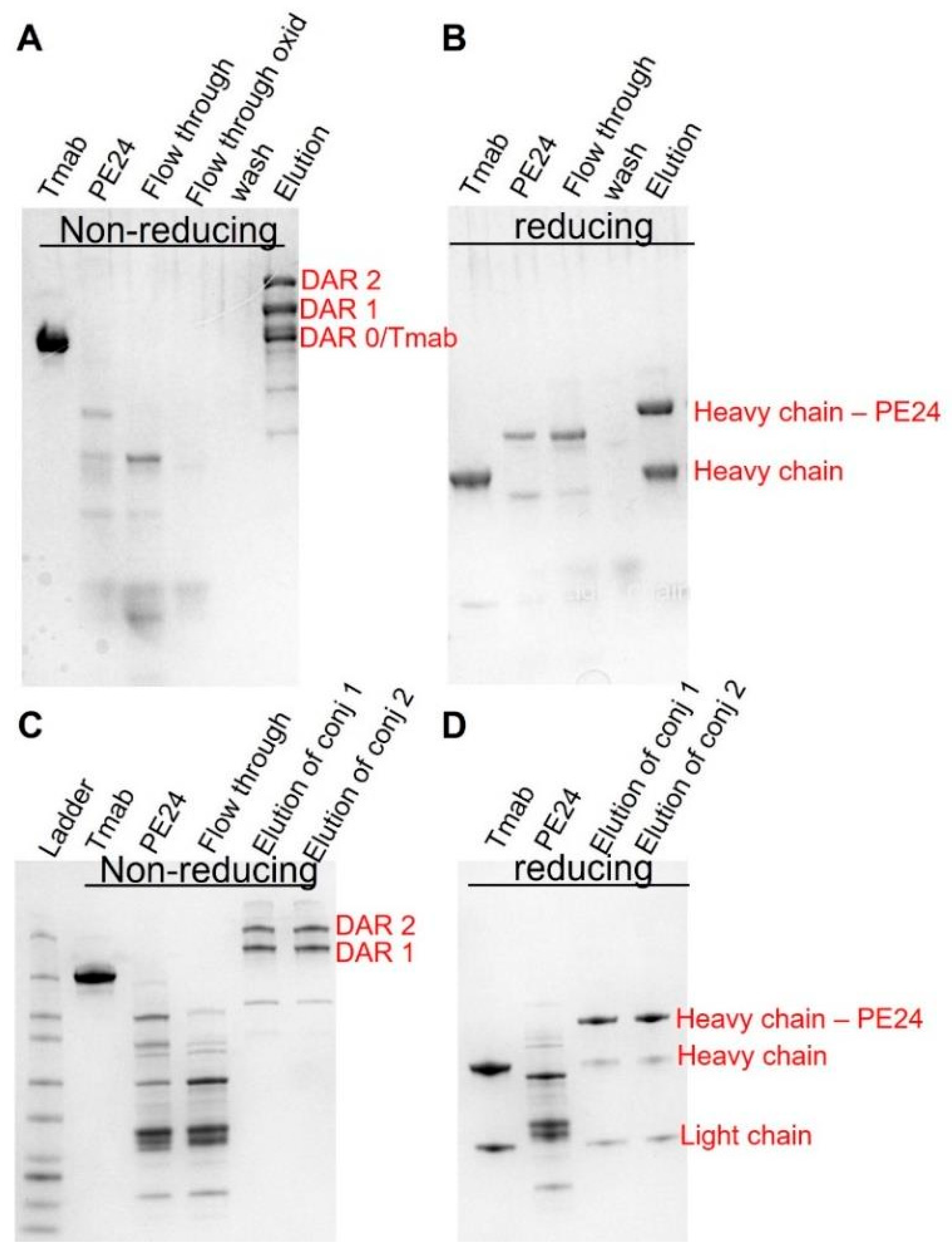 Cancers 17 01468 g004