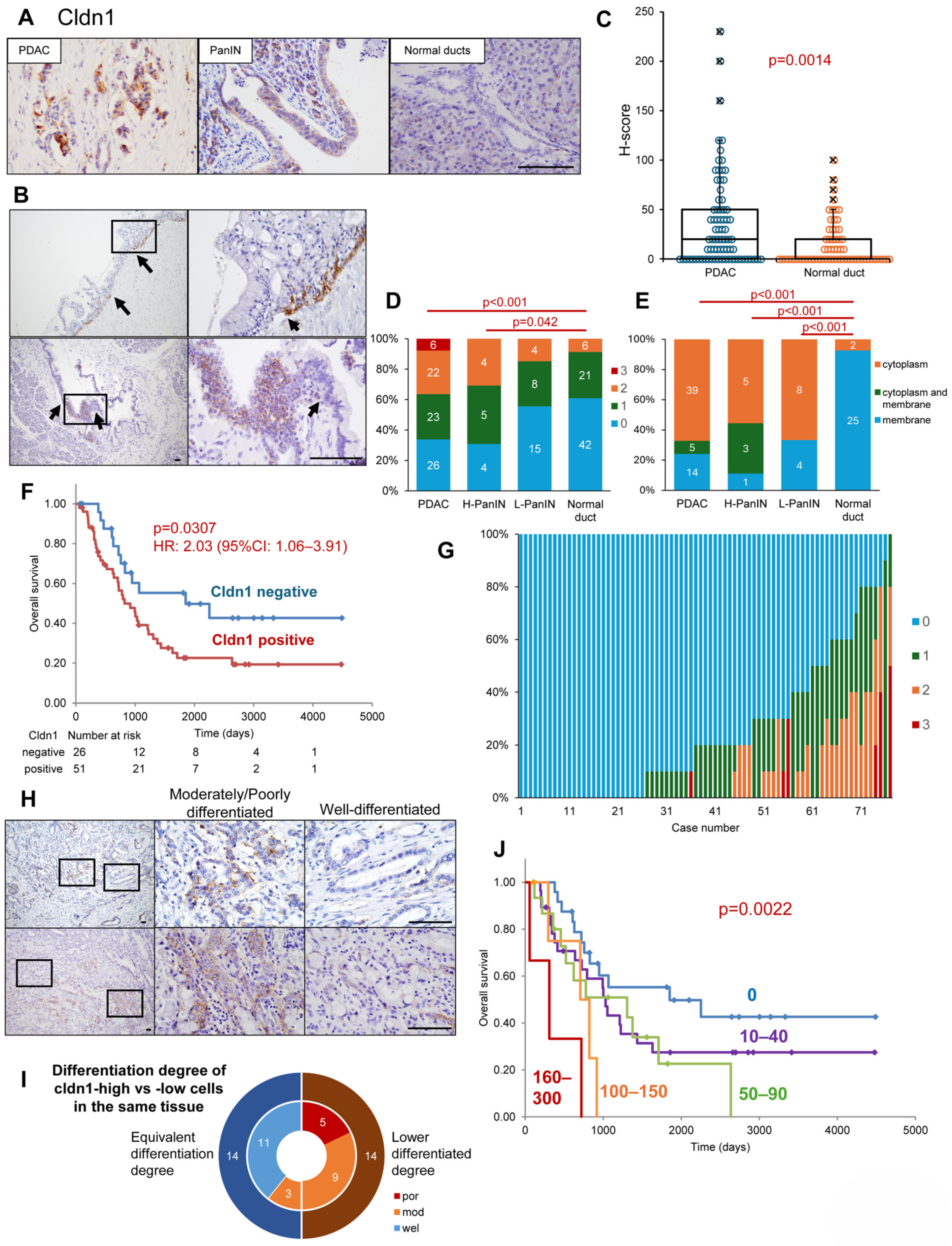 Cancers 17 01469 g001