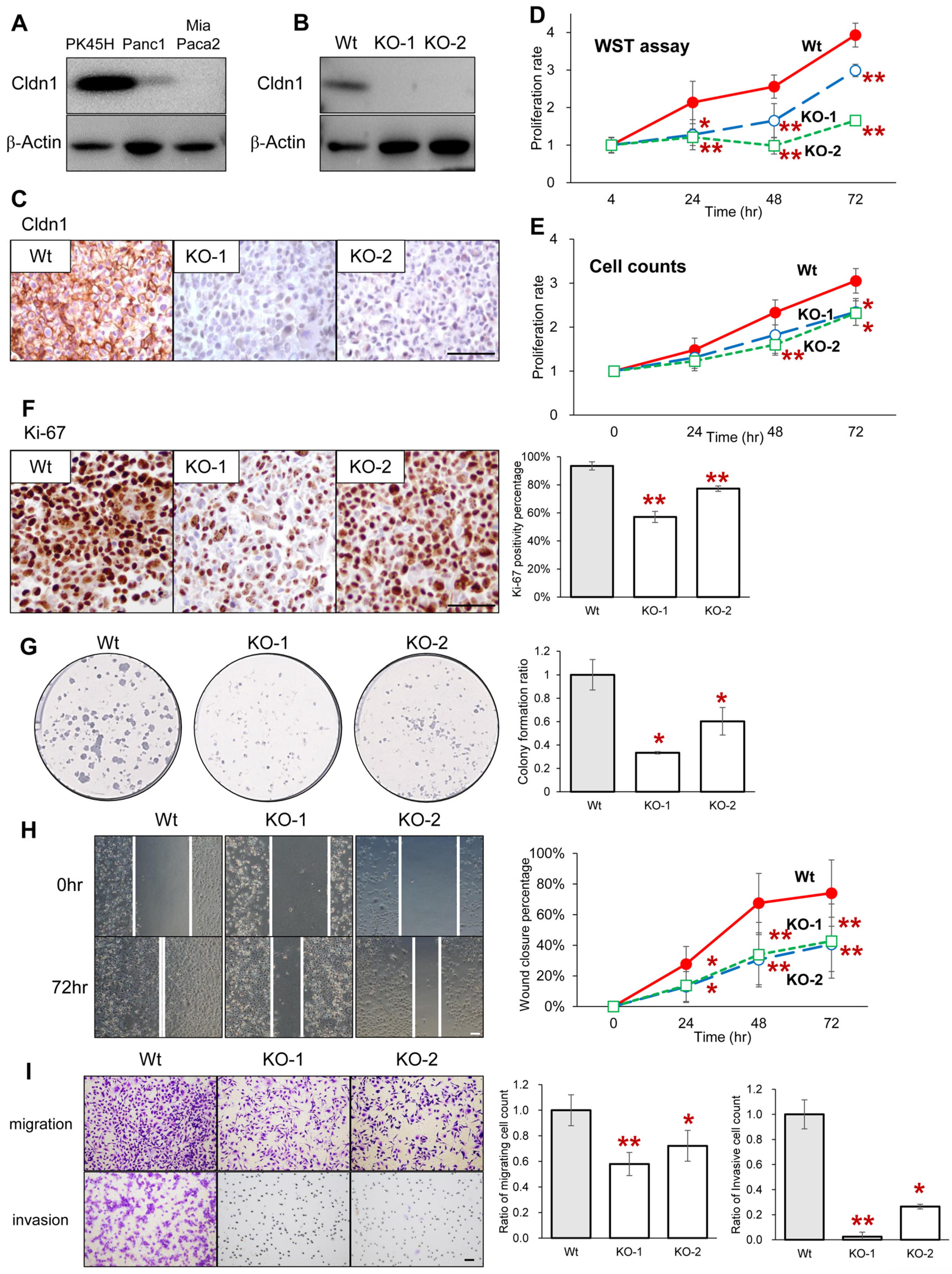 Cancers 17 01469 g002