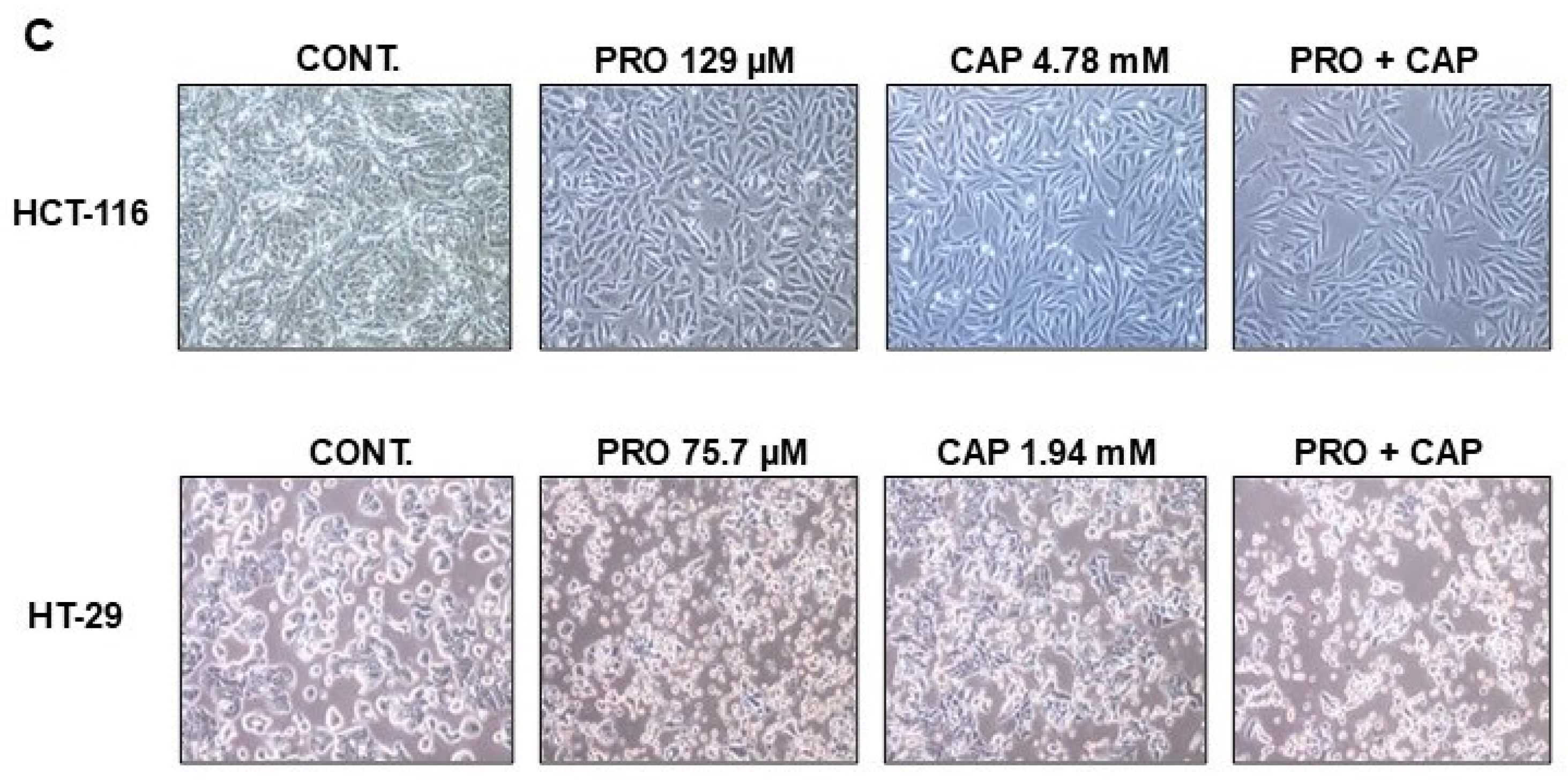 Cancers 17 01470 g001b Cancers 17 01470 g001b
