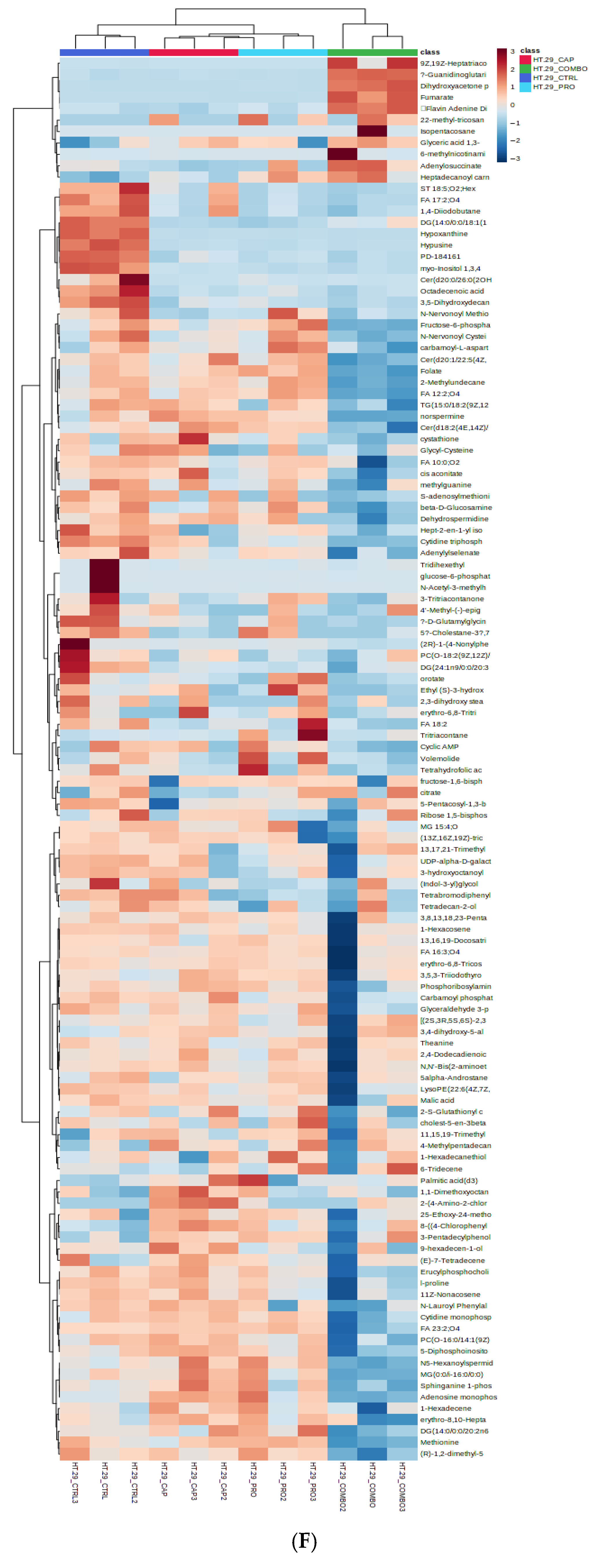 Cancers 17 01470 g003d Cancers 17 01470 g003d