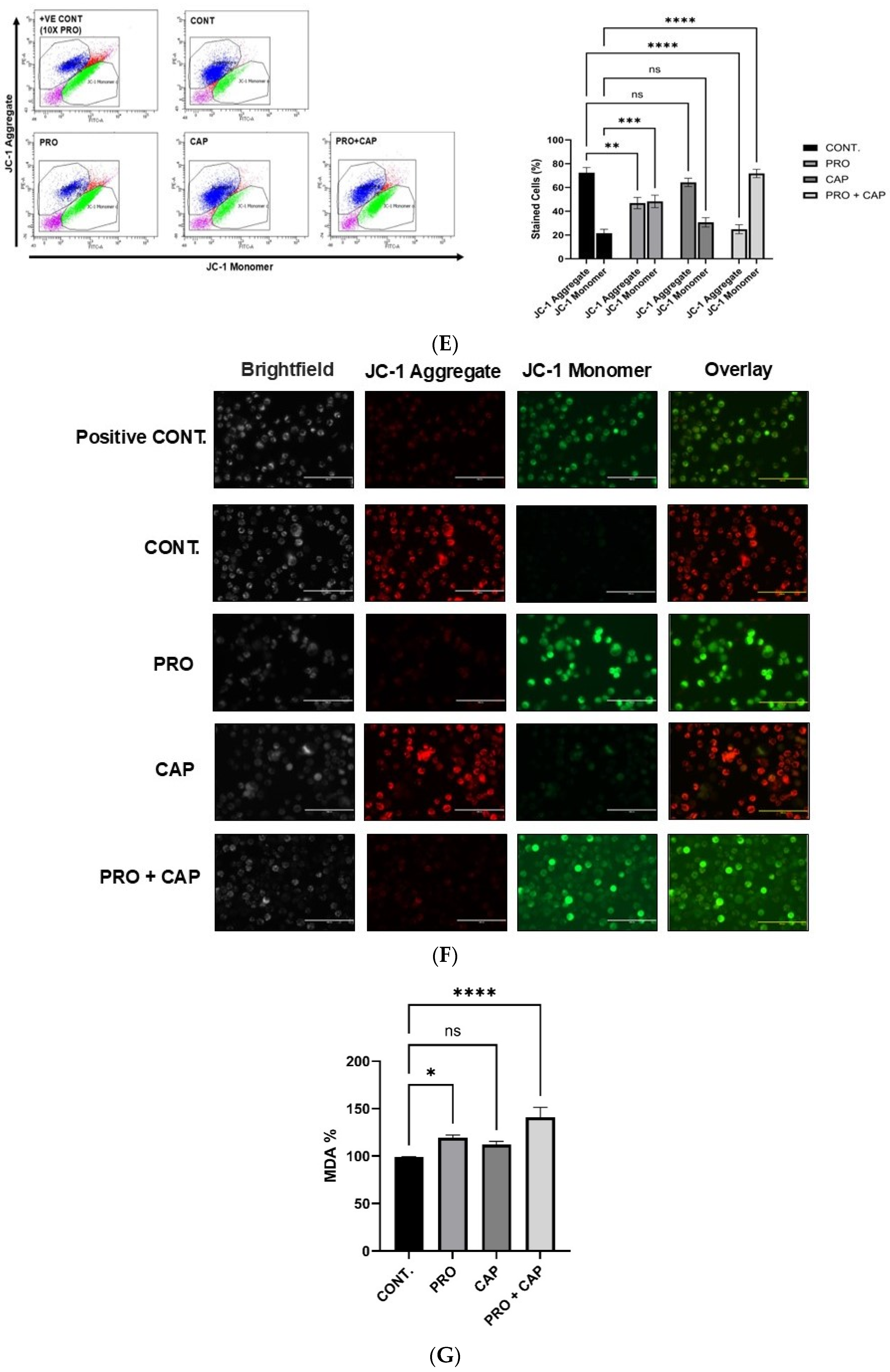 Cancers 17 01470 g004c Cancers 17 01470 g004c