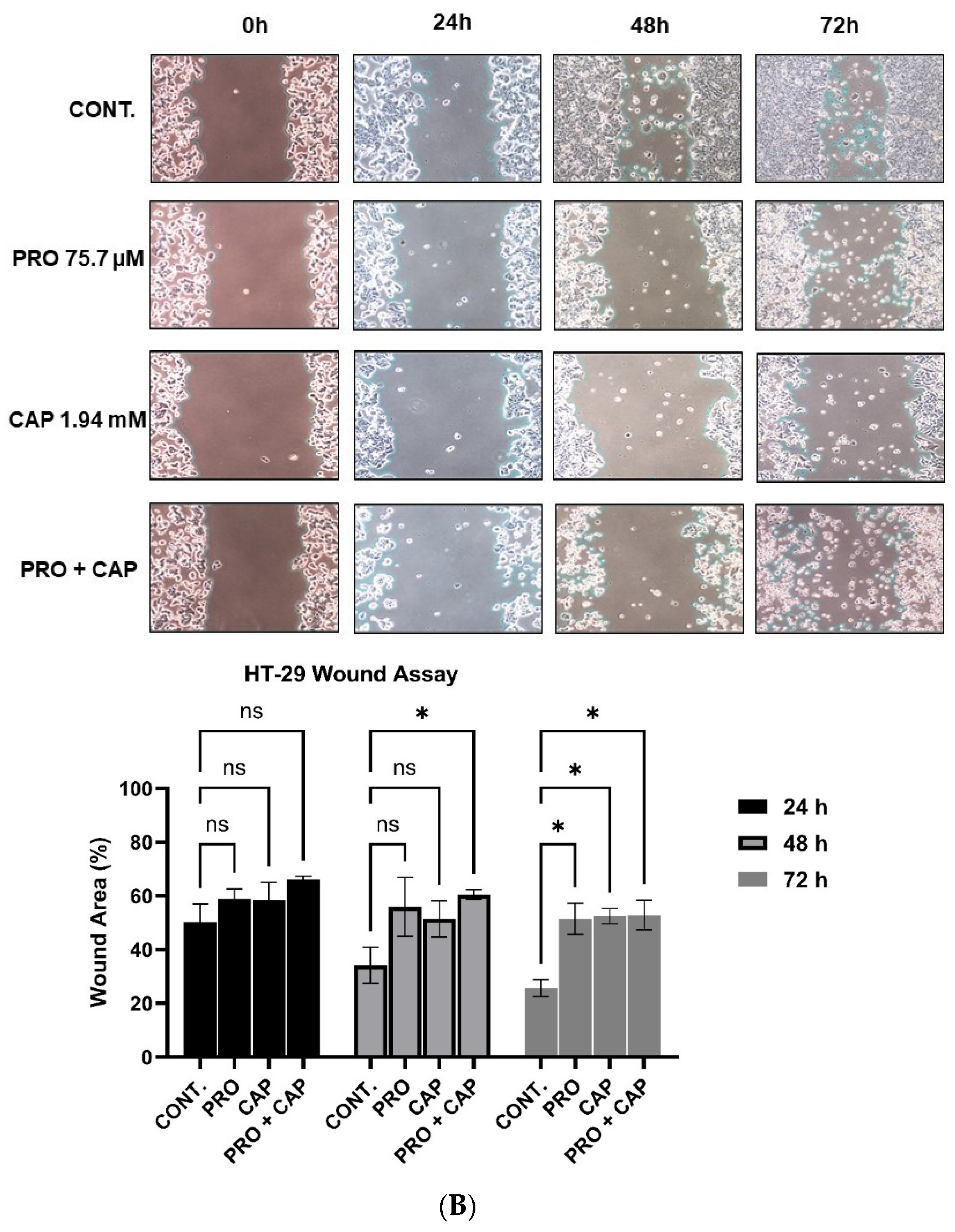 Cancers 17 01470 g005b Cancers 17 01470 g005b