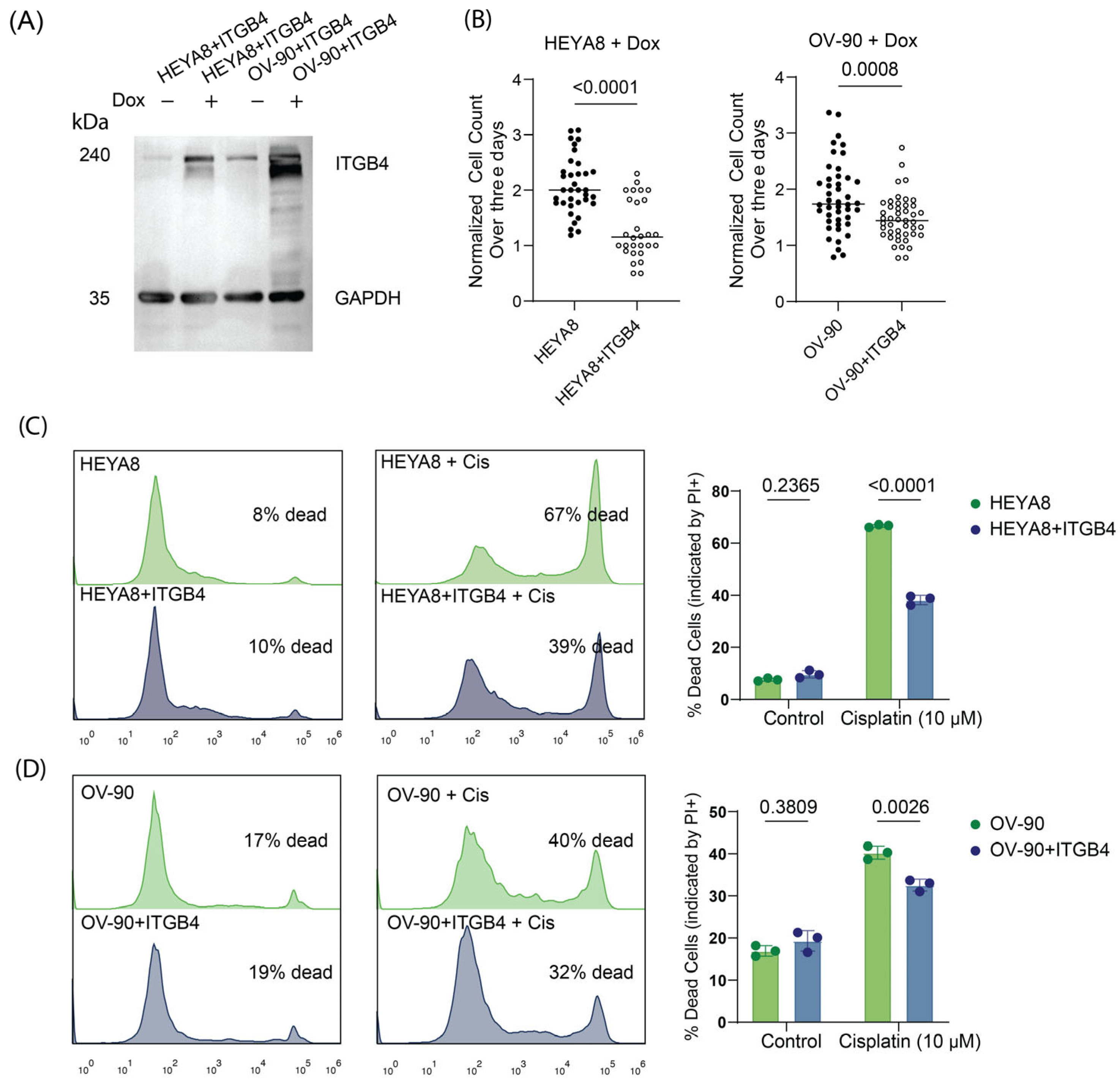Cancers 17 01472 g007