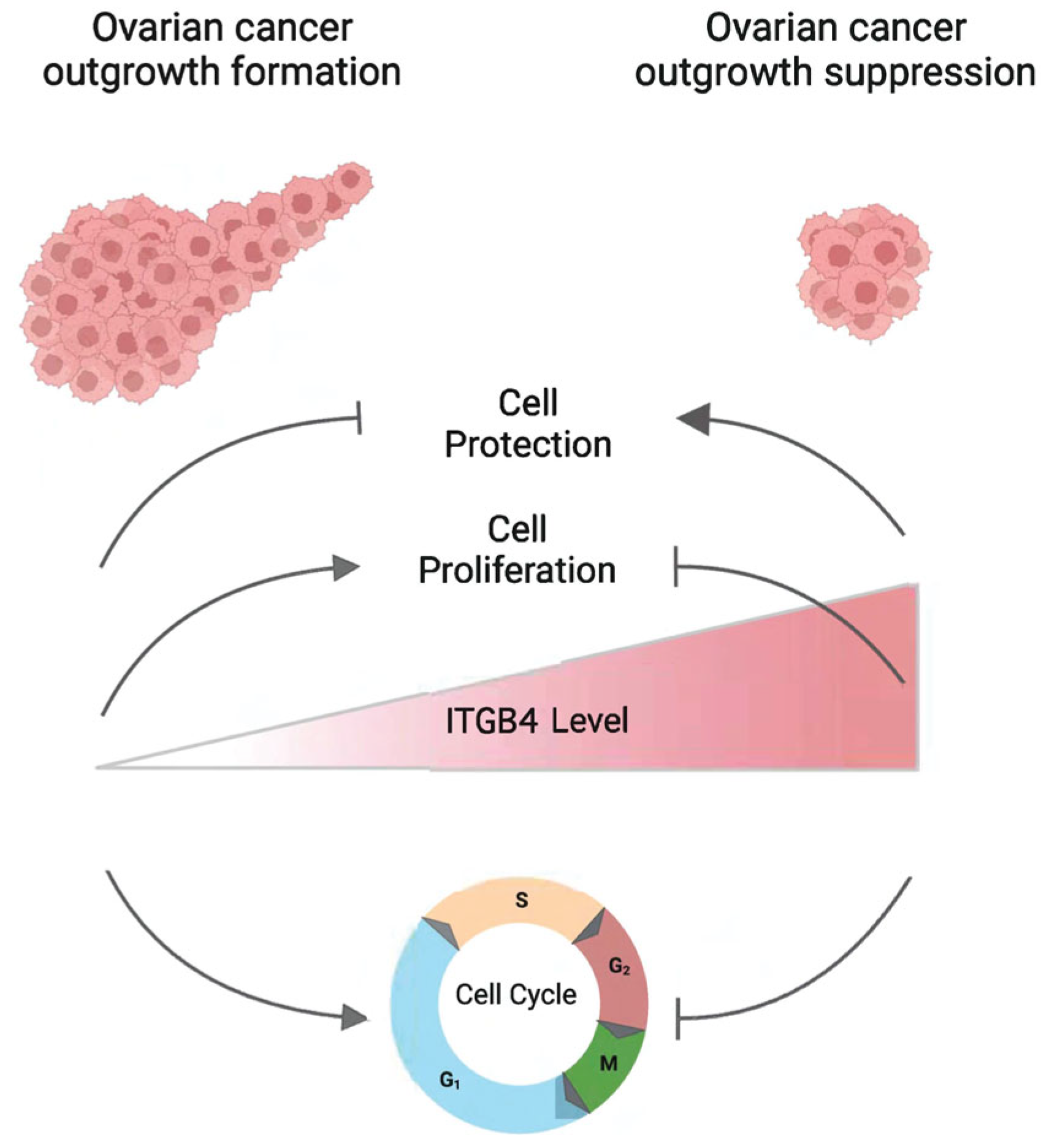 Cancers 17 01472 g008