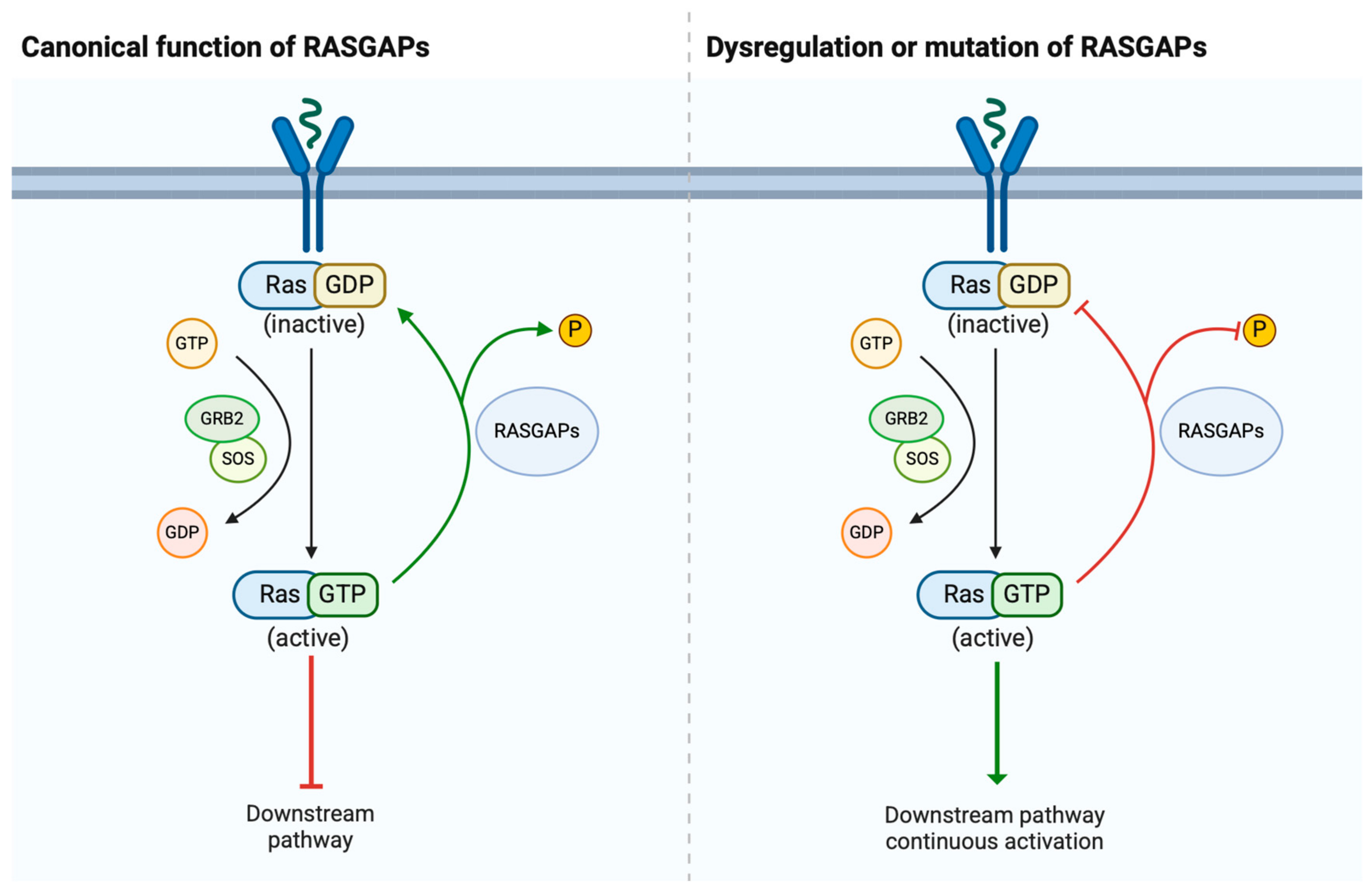 Cancers 17 01485 g001 Cancers 17 01485 g001