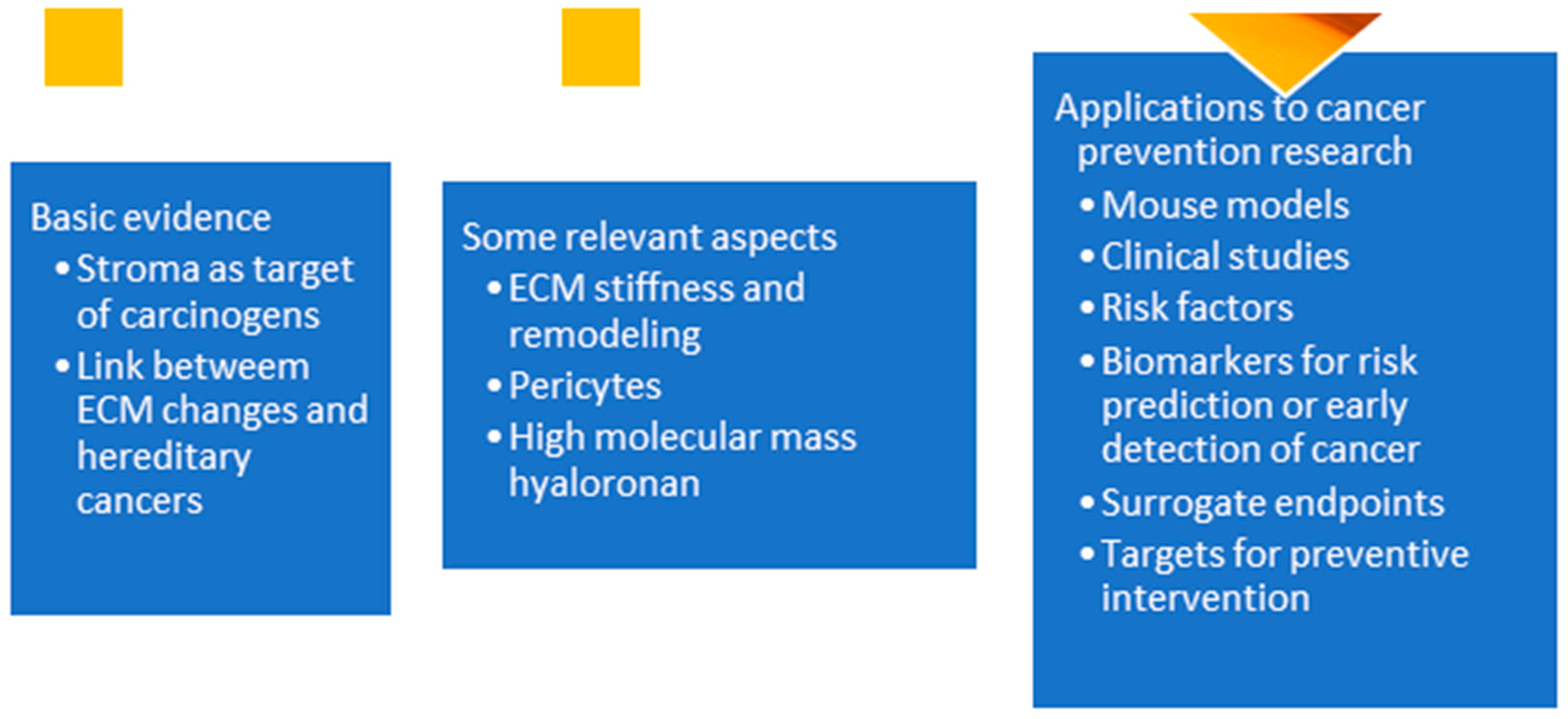 Cancers 17 01491 g001 Cancers 17 01491 g001