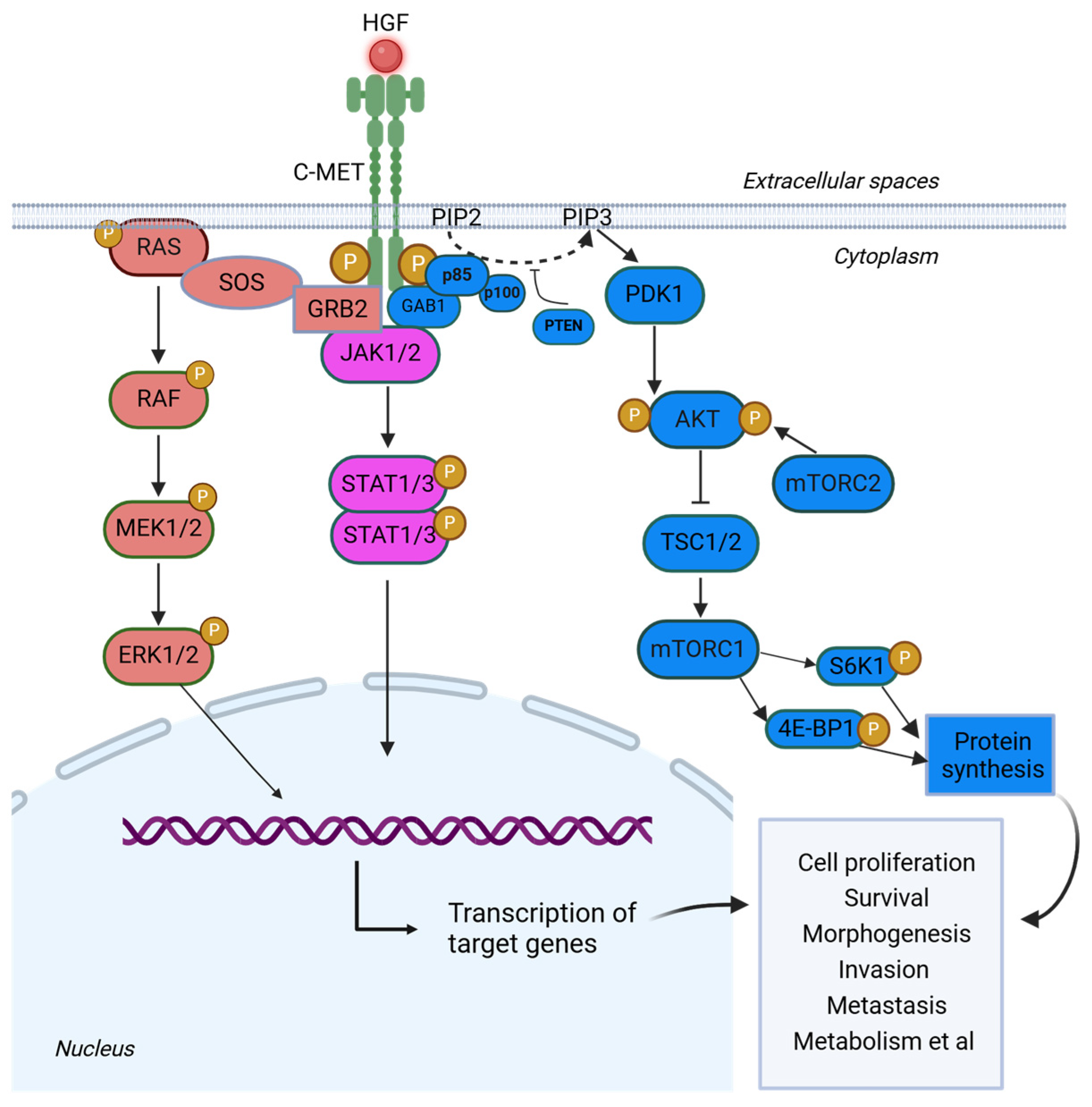 Cancers 17 01493 g002