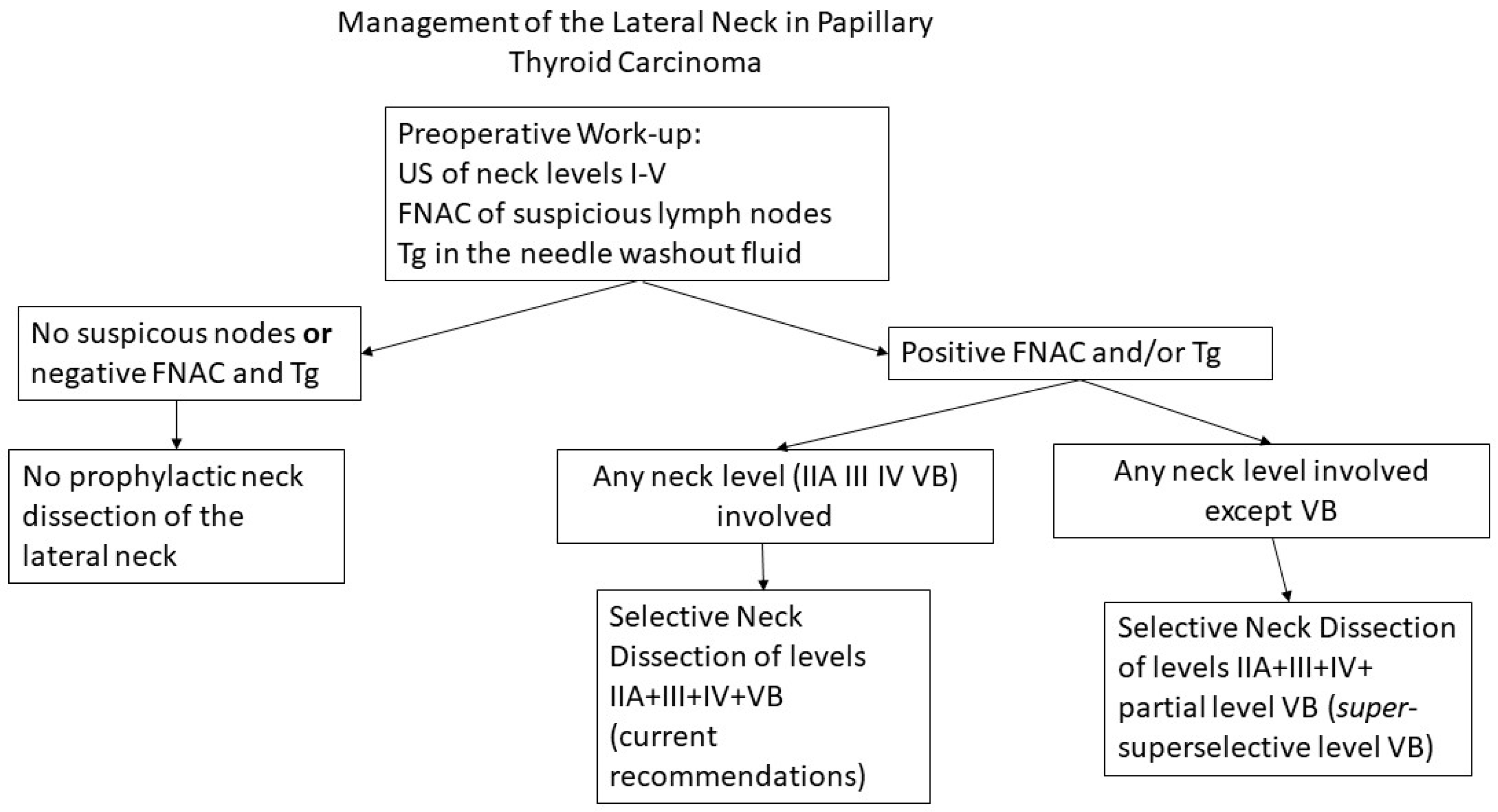Cancers 17 01497 g004
