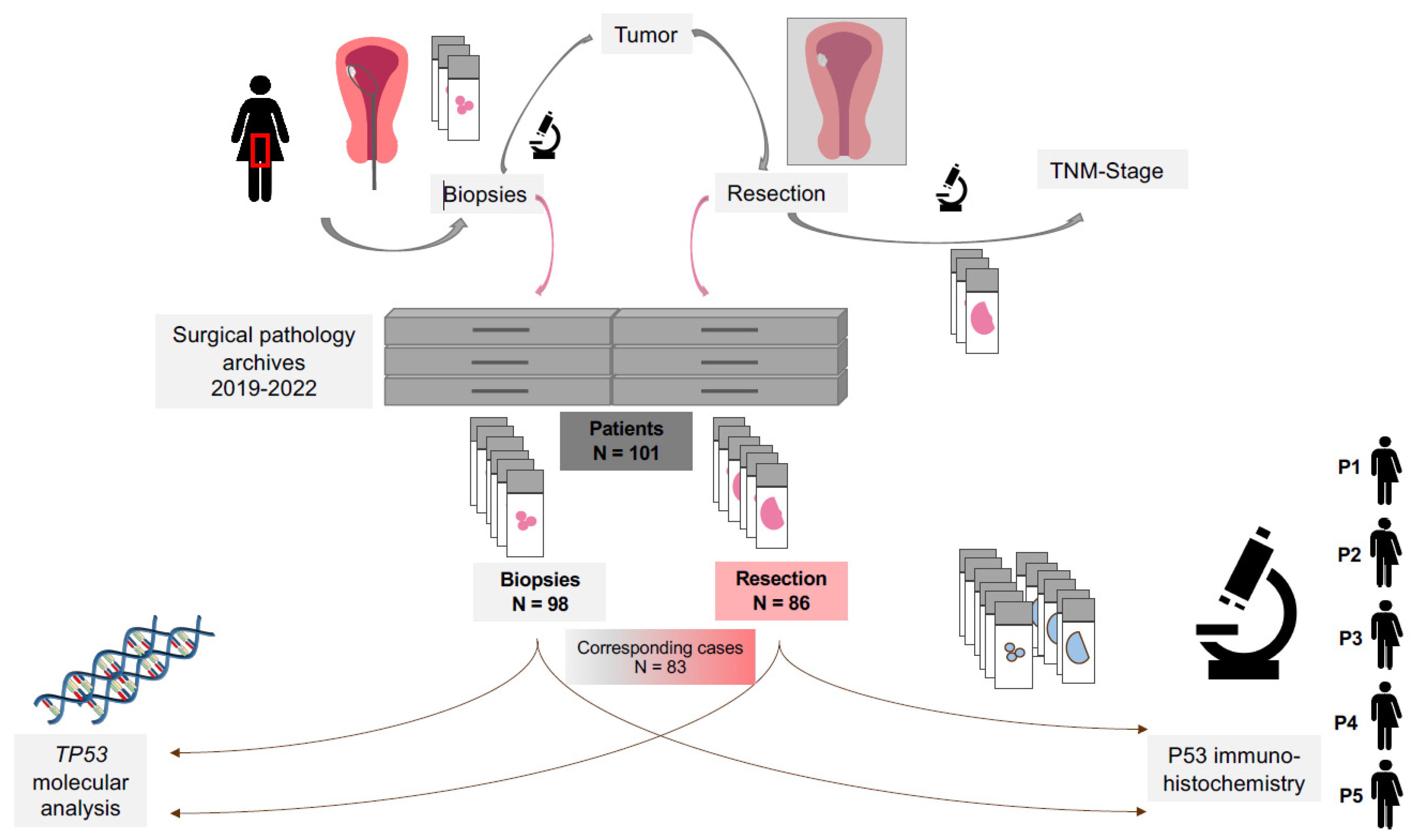 Cancers 17 01506 g001