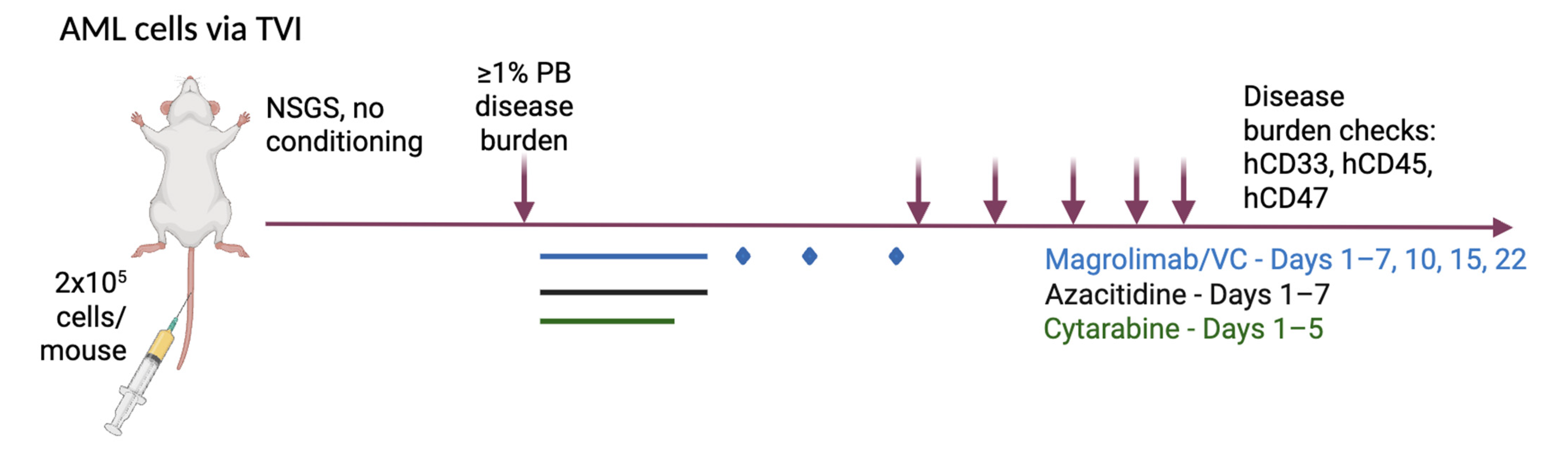 Cancers 17 01509 g001